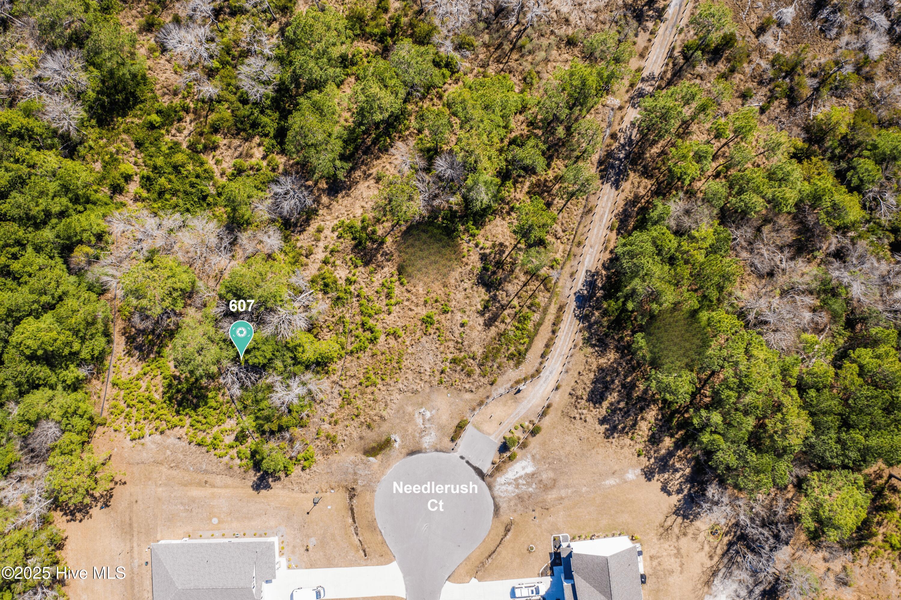 607 Needlerush Court Property Photo 1