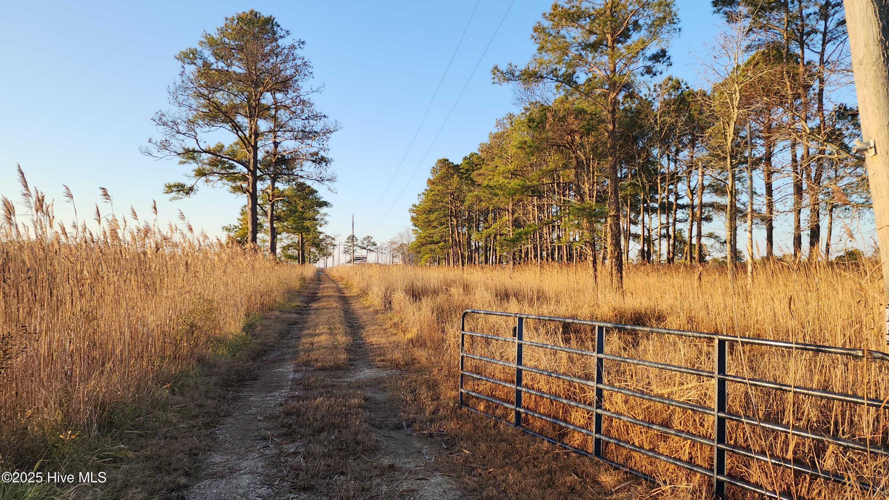 116 Mistletoe Lane Property Photo 1