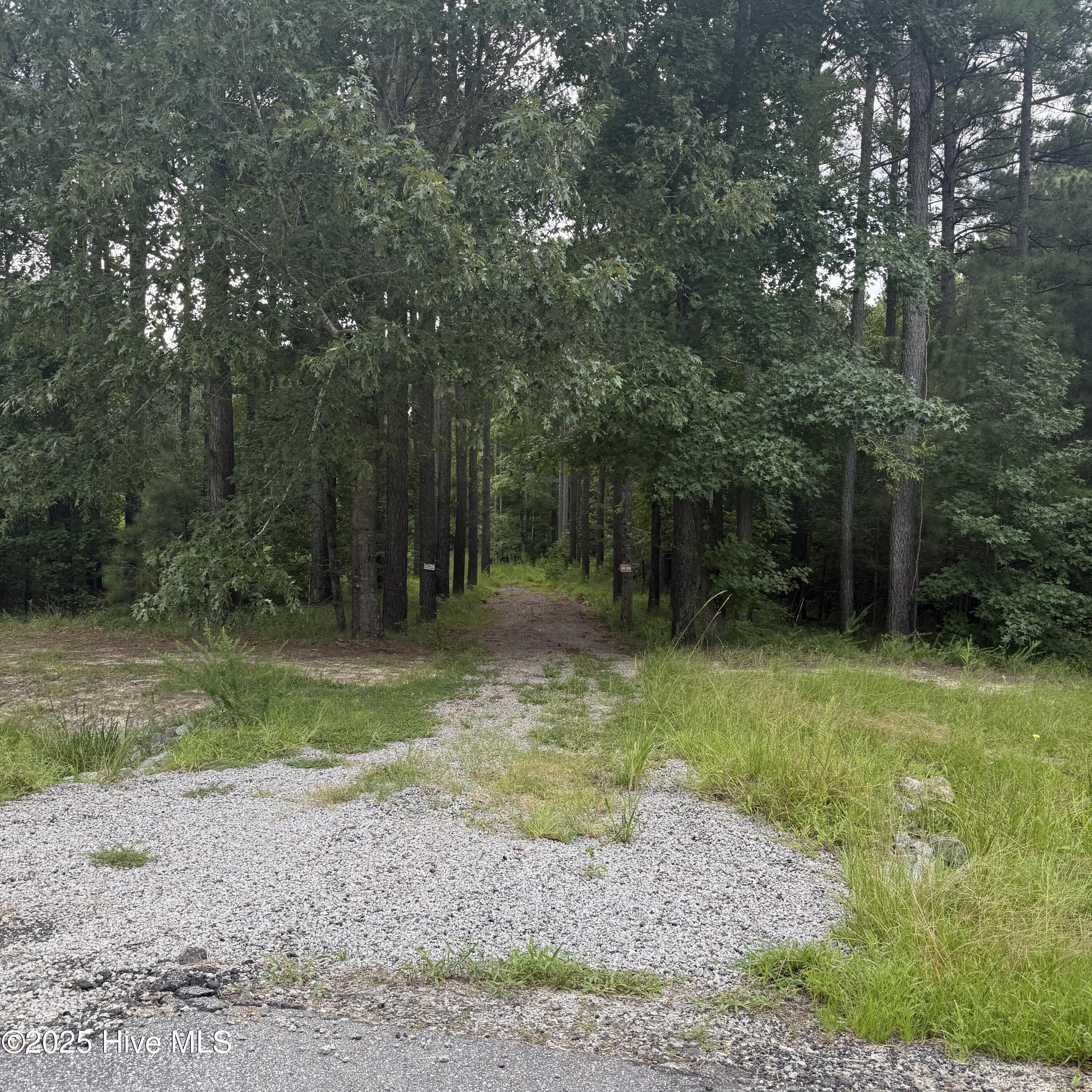 704 Batts Island Road Property Photo 1