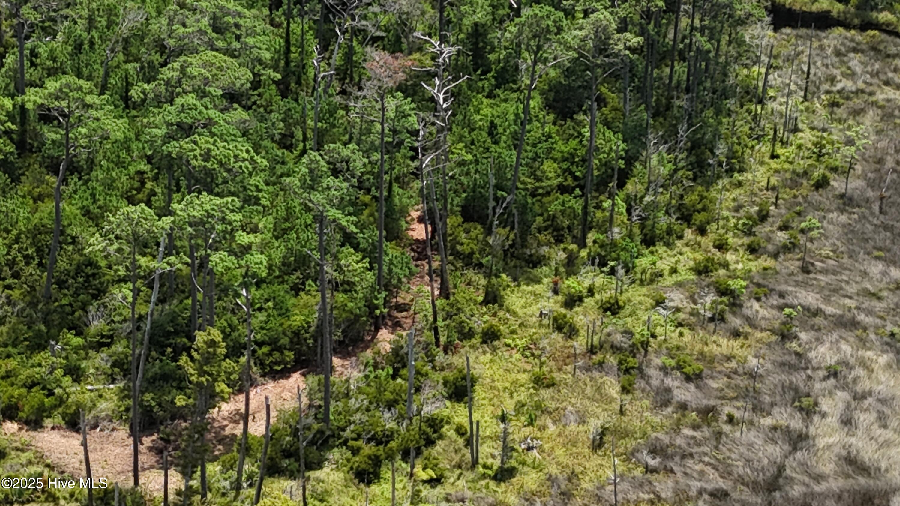 740 Sandy Point Drive Property Photo 5