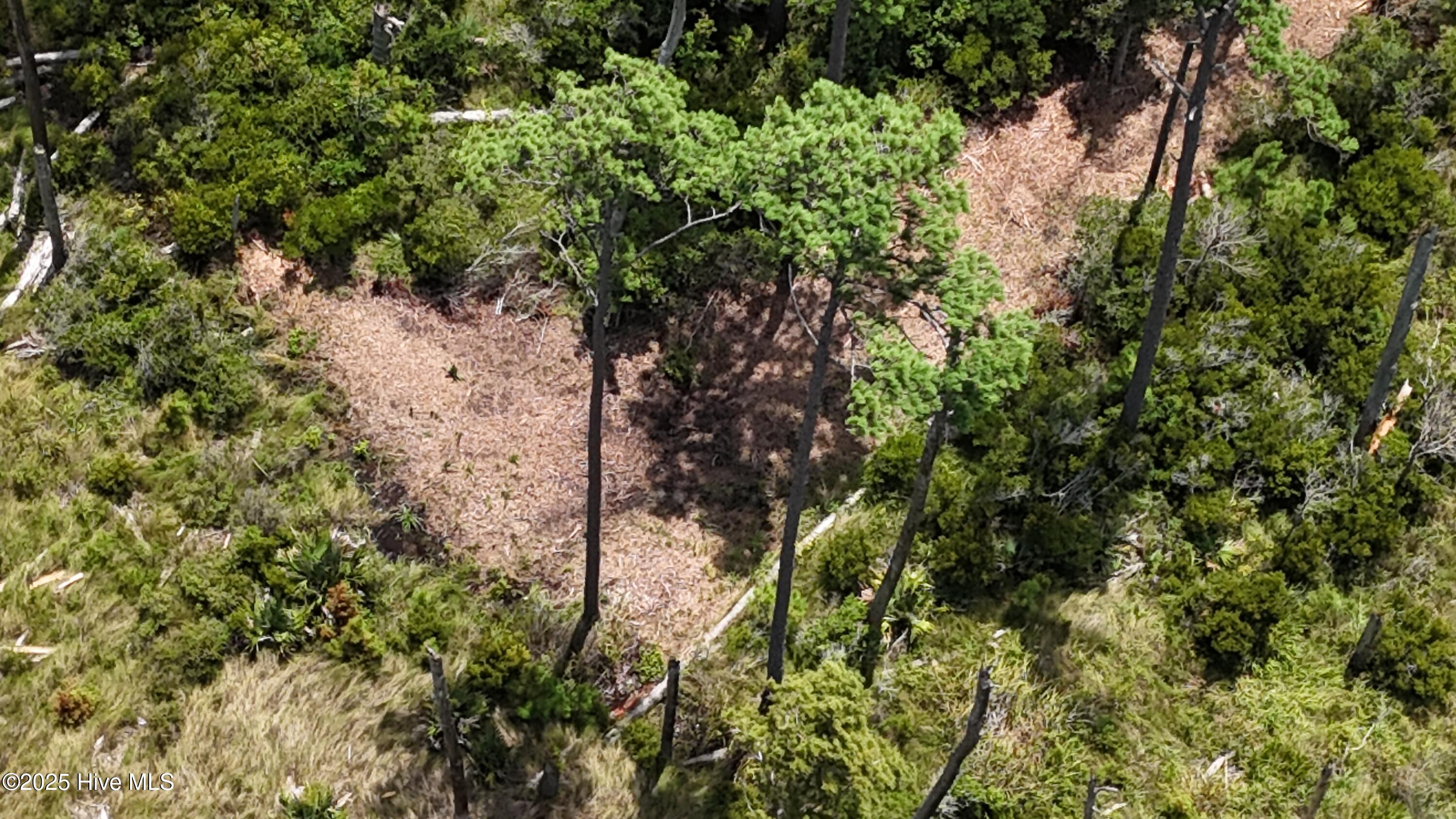 740 Sandy Point Drive Property Photo 8