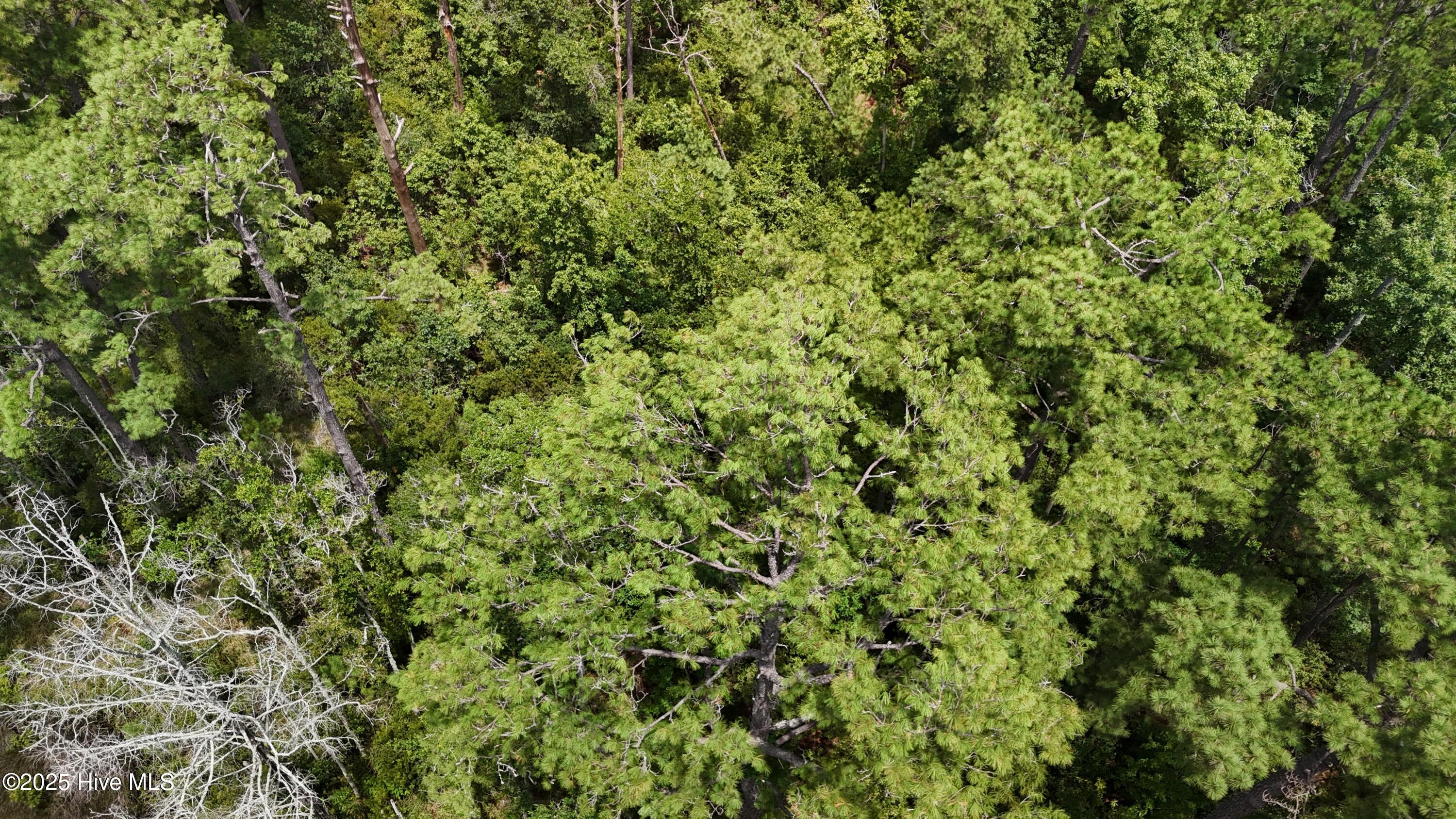 740 Sandy Point Drive Property Photo 11