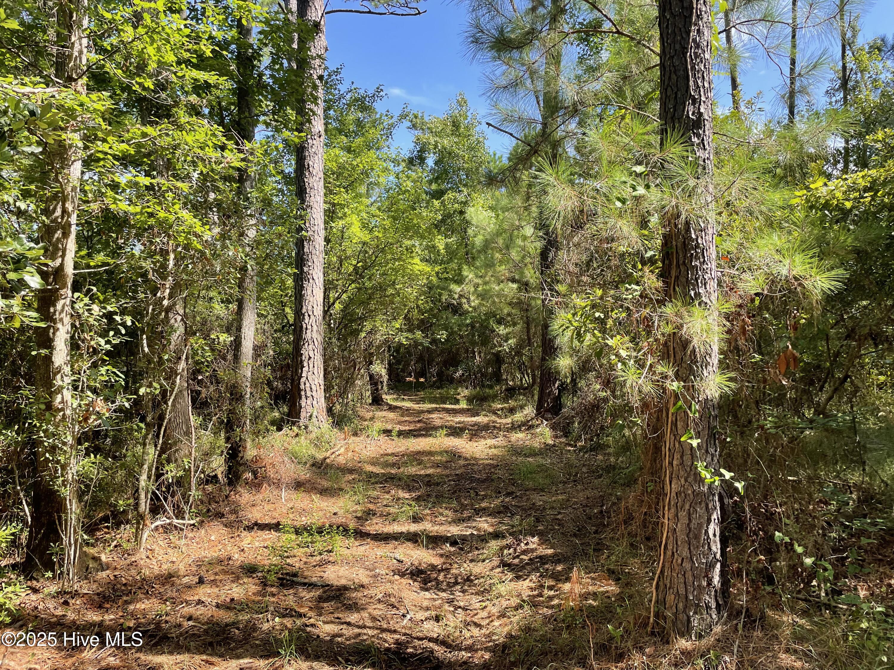 740 Sandy Point Drive Property Photo 20