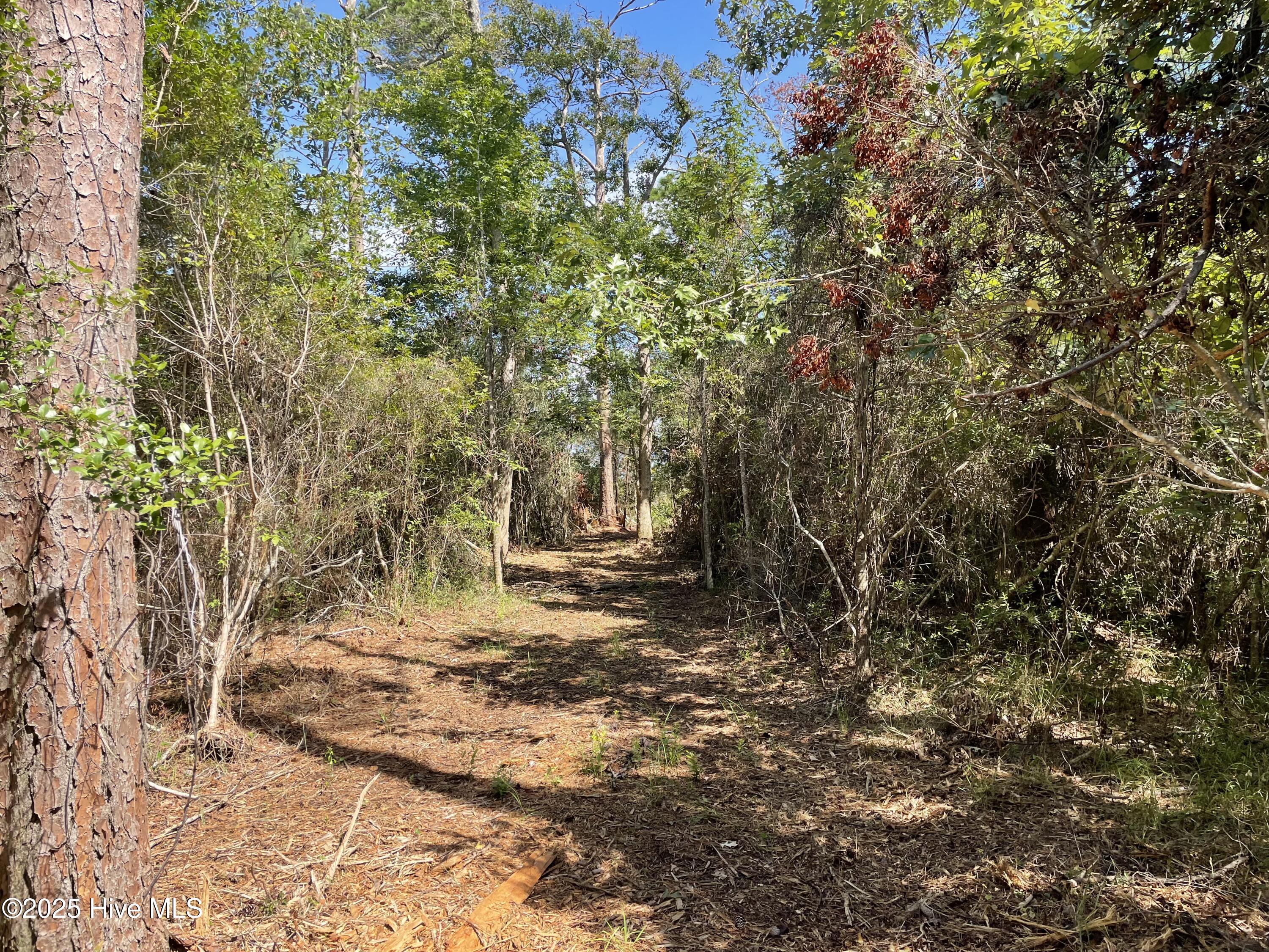 740 Sandy Point Drive Property Photo 21