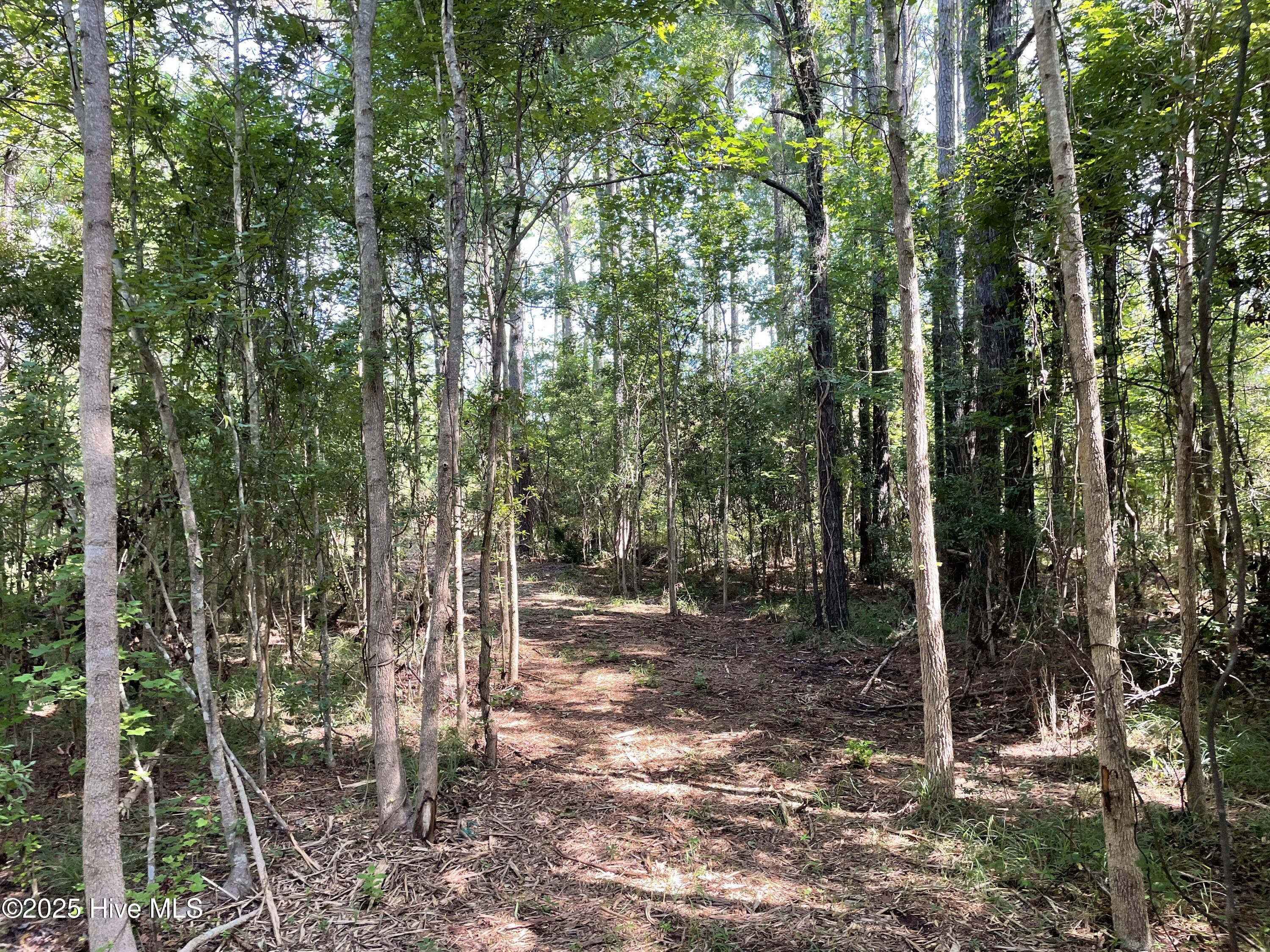 740 Sandy Point Drive Property Photo 22