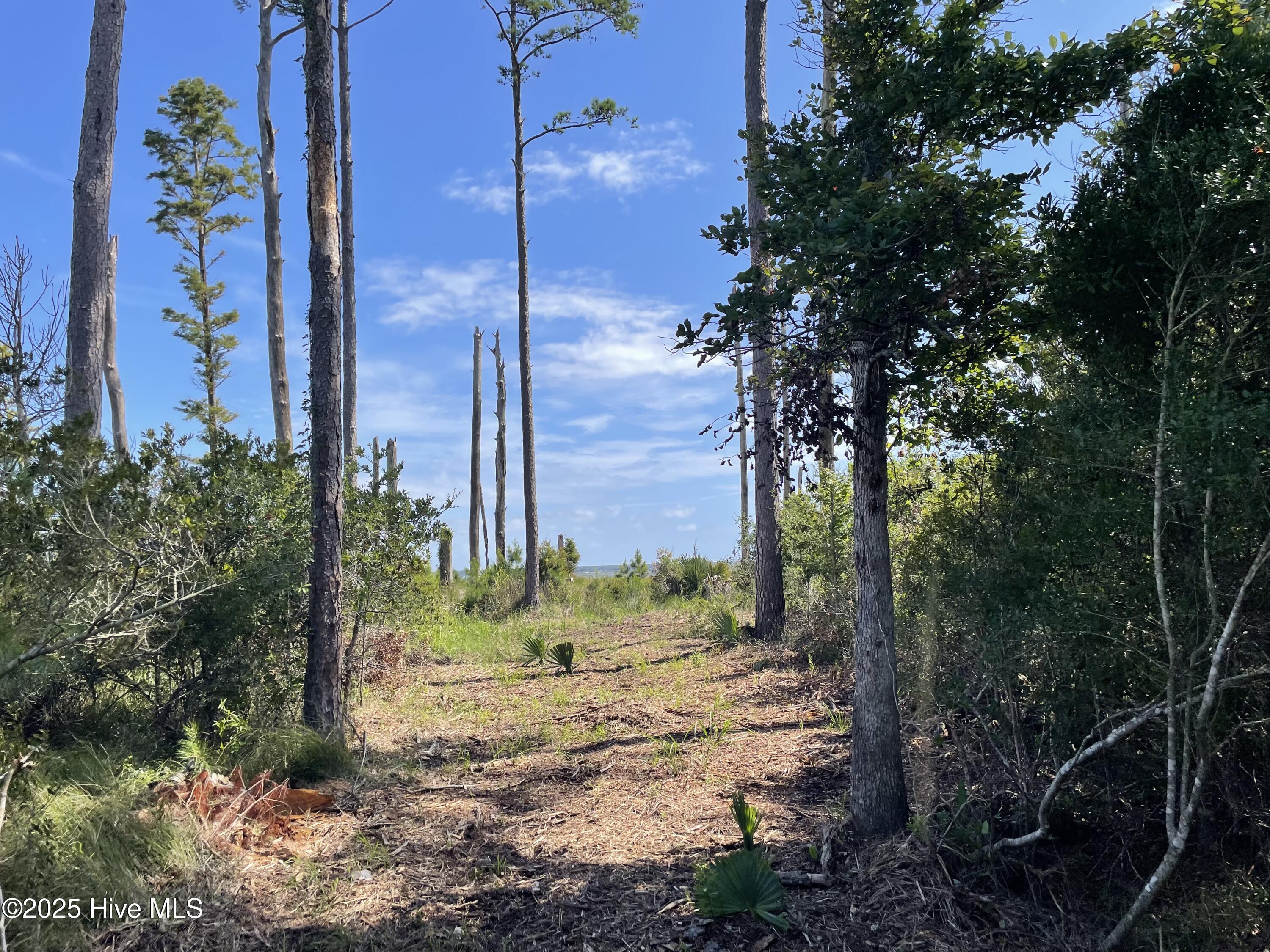 740 Sandy Point Drive Property Photo 23