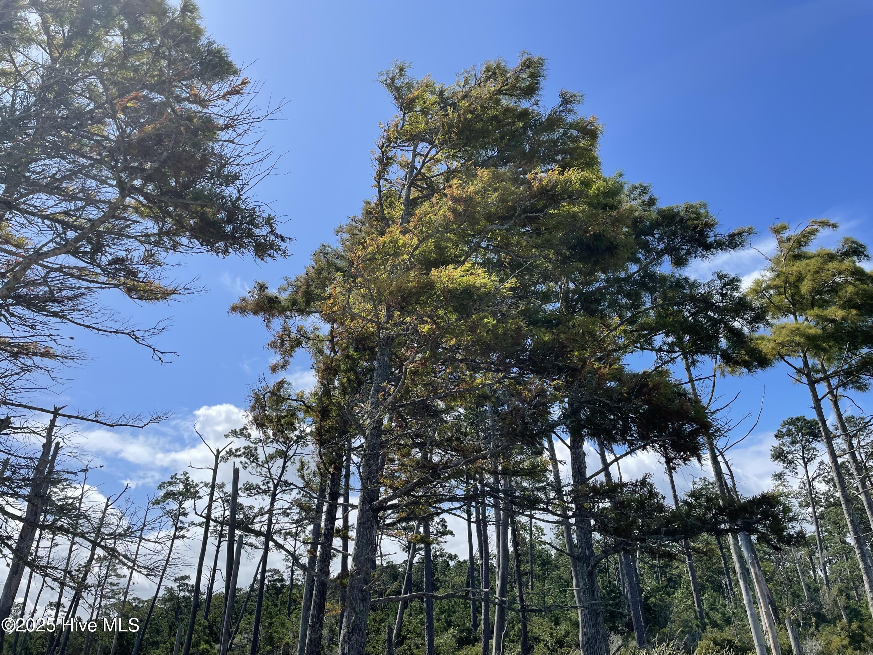 740 Sandy Point Drive Property Photo 27