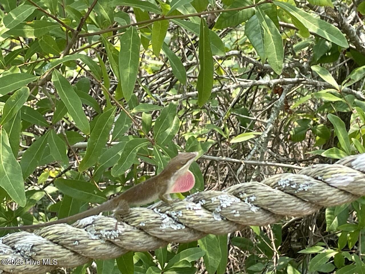 740 Sandy Point Drive Property Photo 47