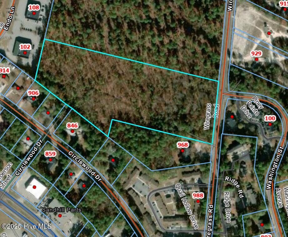 Tbd Wiregrass Road Property Photo 1