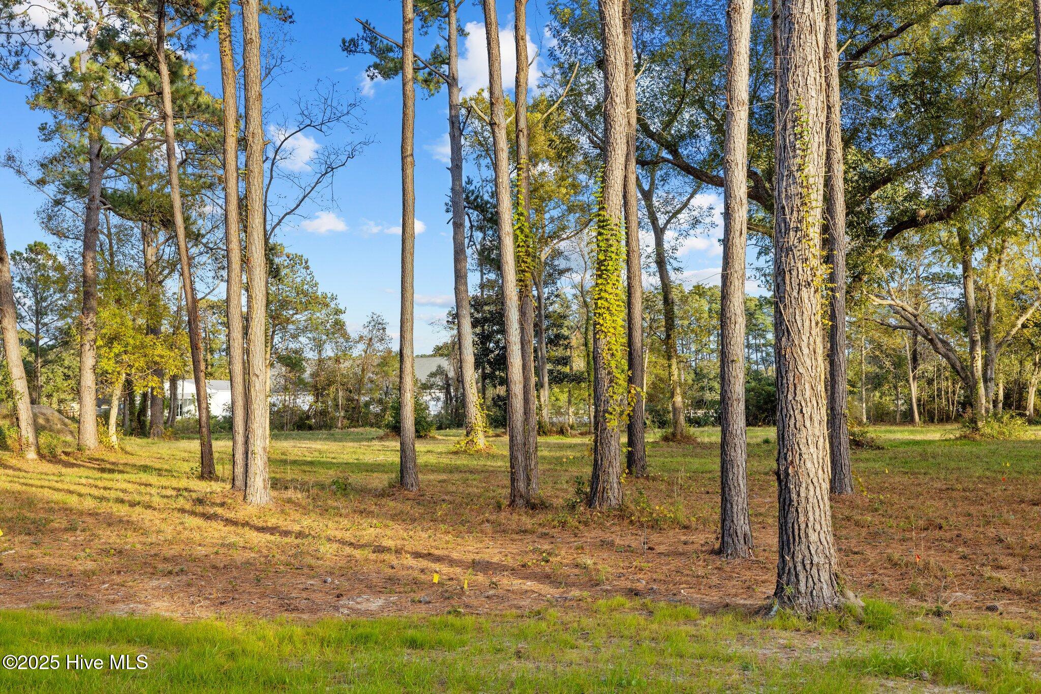 113 Indian Trail Property Photo 24