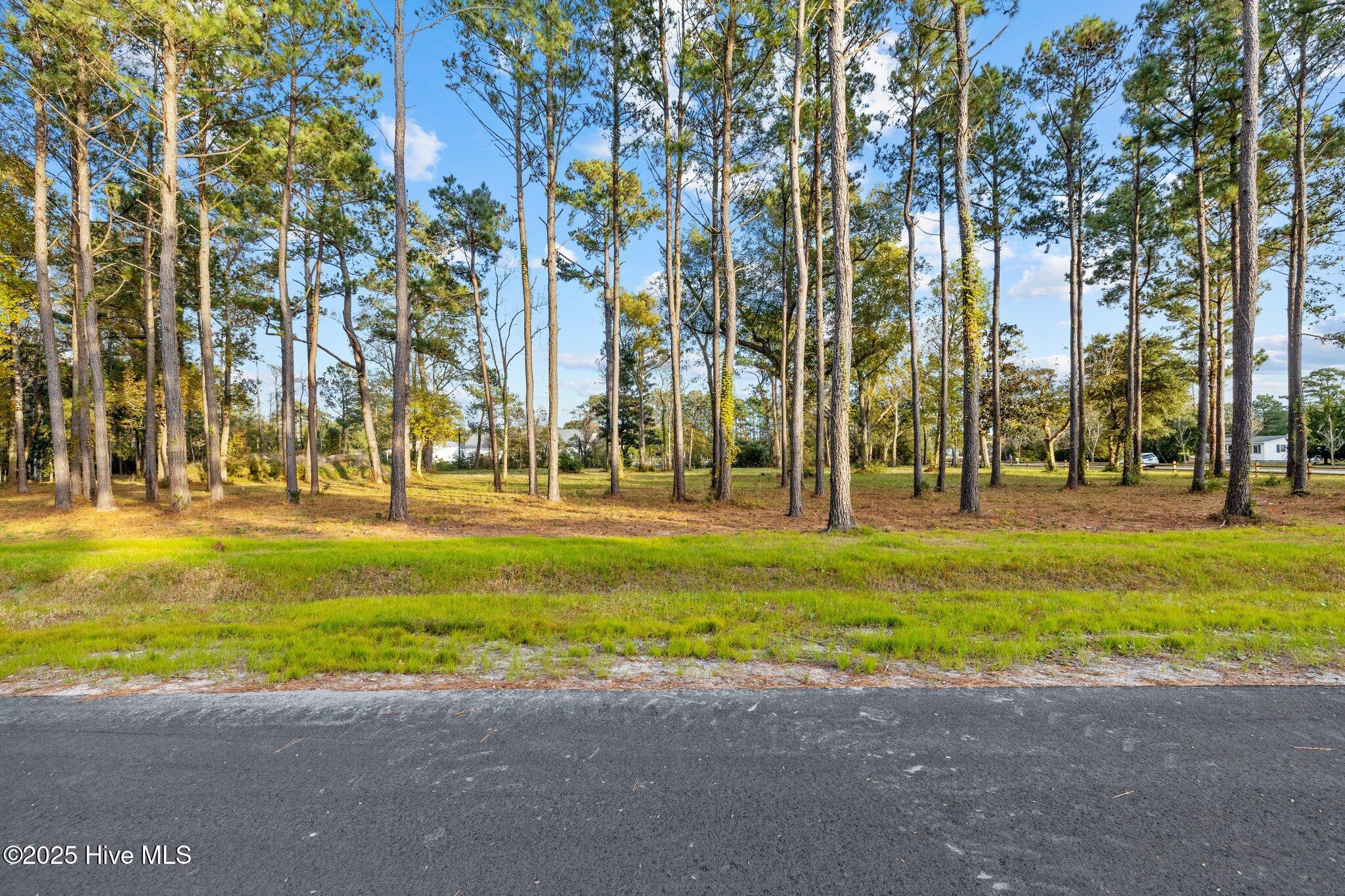 113 Indian Trail Property Photo 25