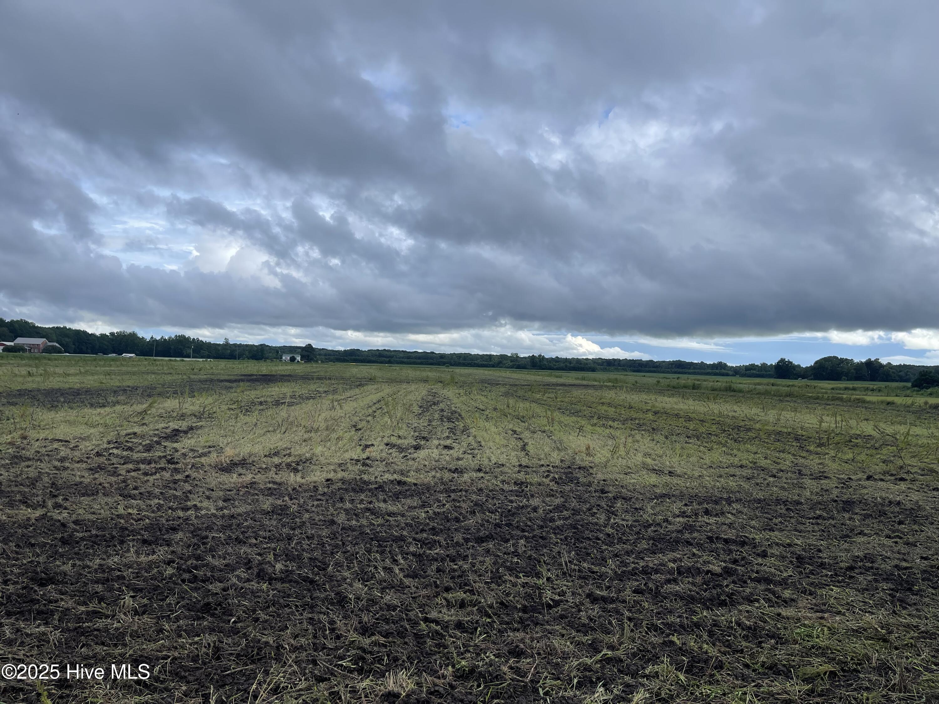 Tbd A Ryland Road Property Photo 2