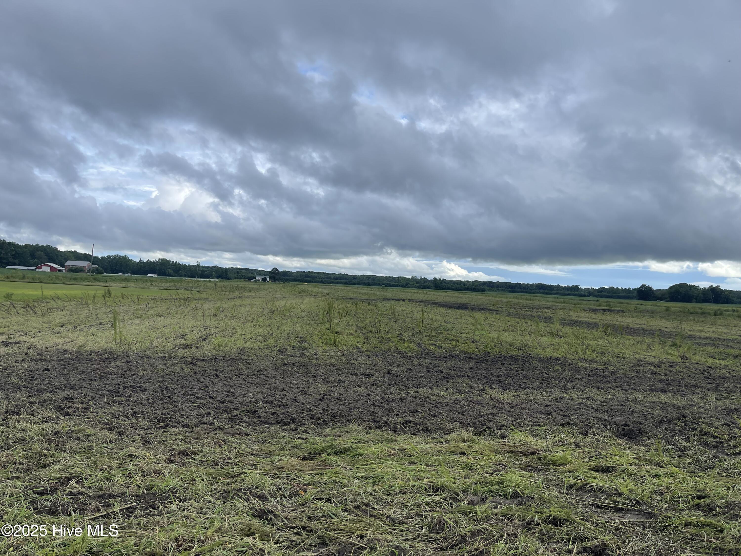 Tbd Ryland Road Property Photo 1