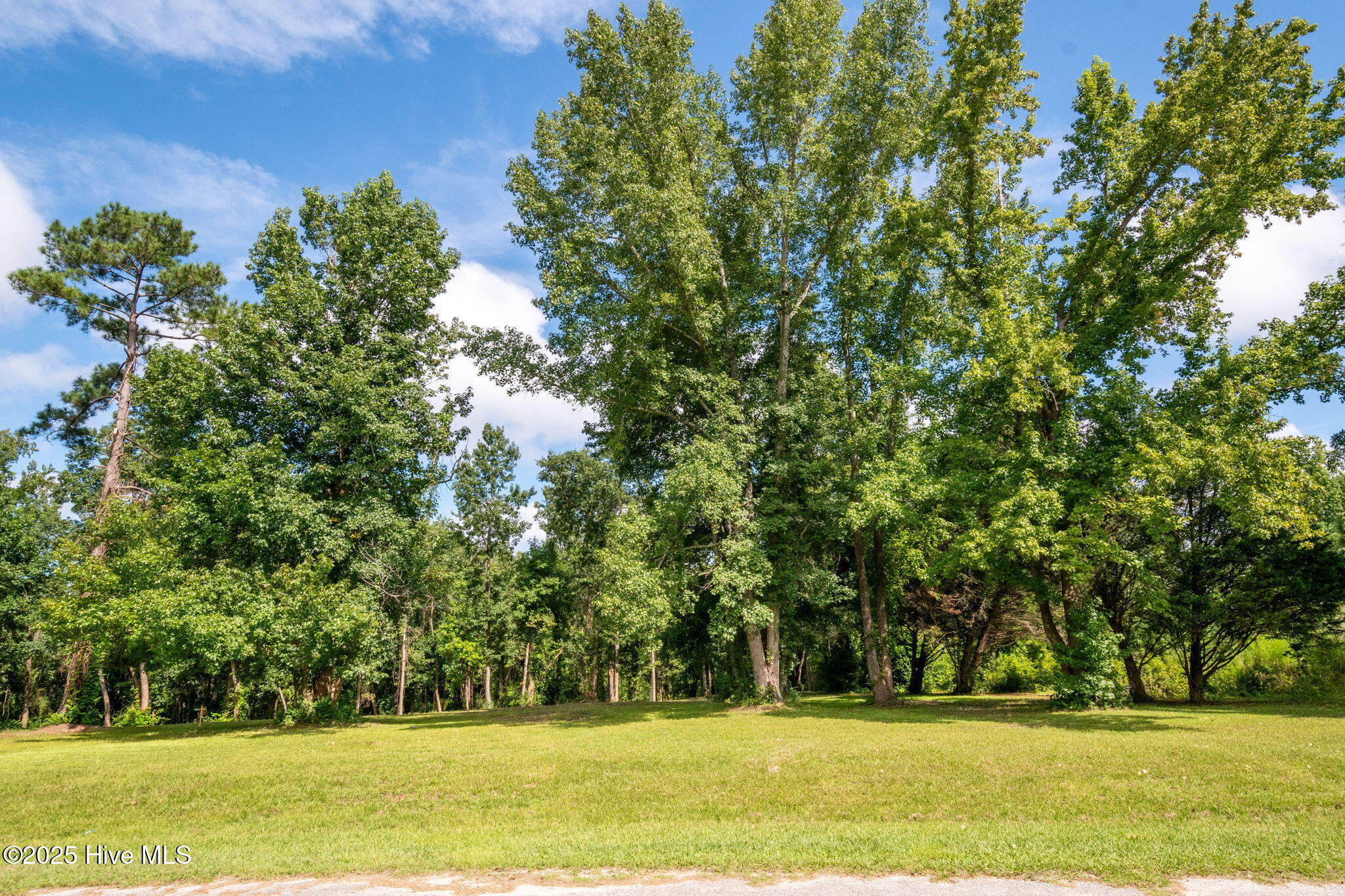 Tract A-2 Nc 133 Highway Property Photo 1
