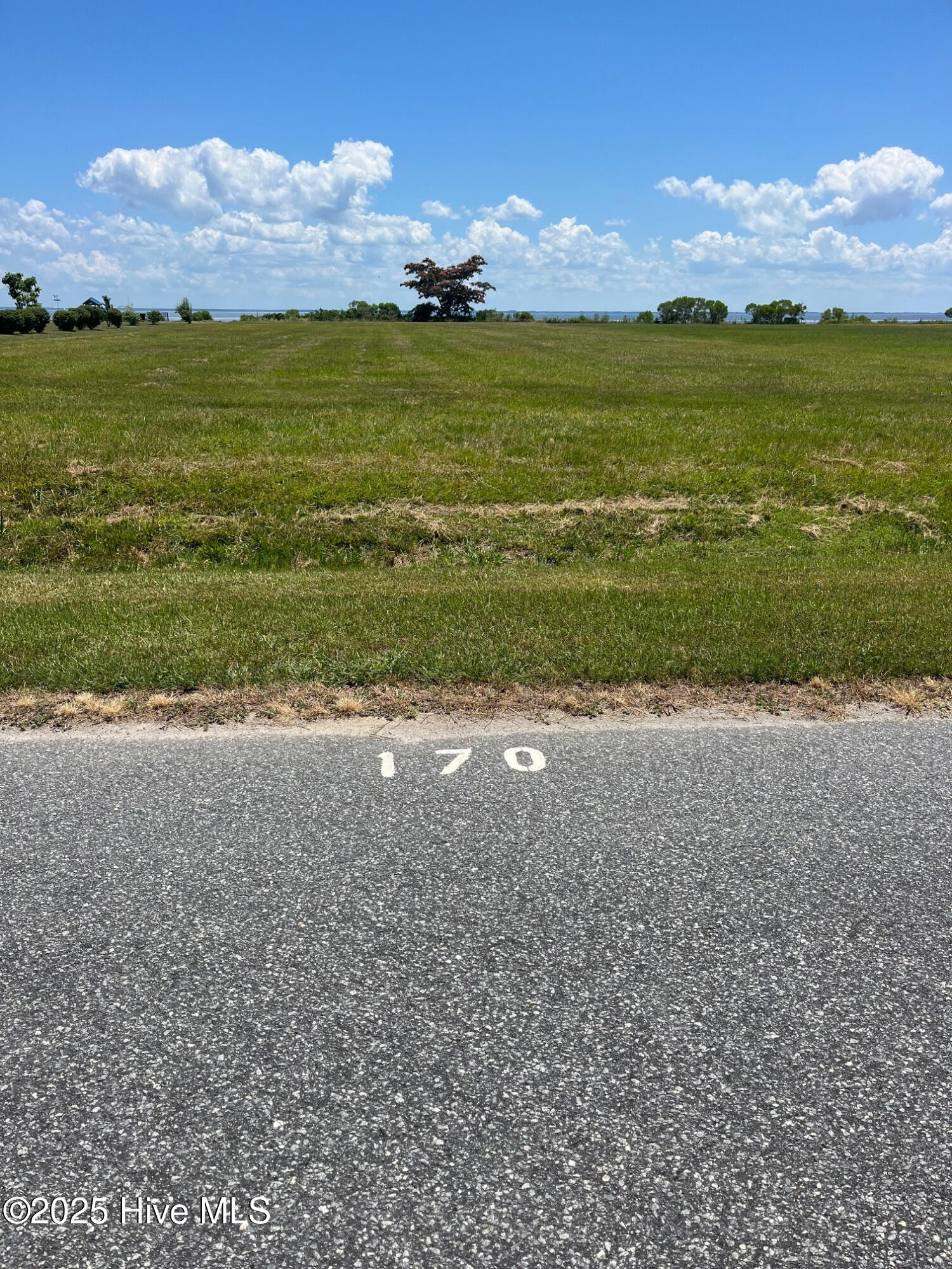 170 170 Bald Eagle Pointe Drive Property Photo 8