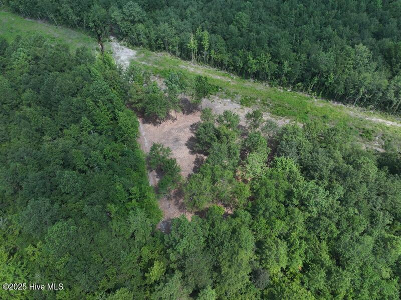 Tbd Pope's Crossing Road Property Photo 1