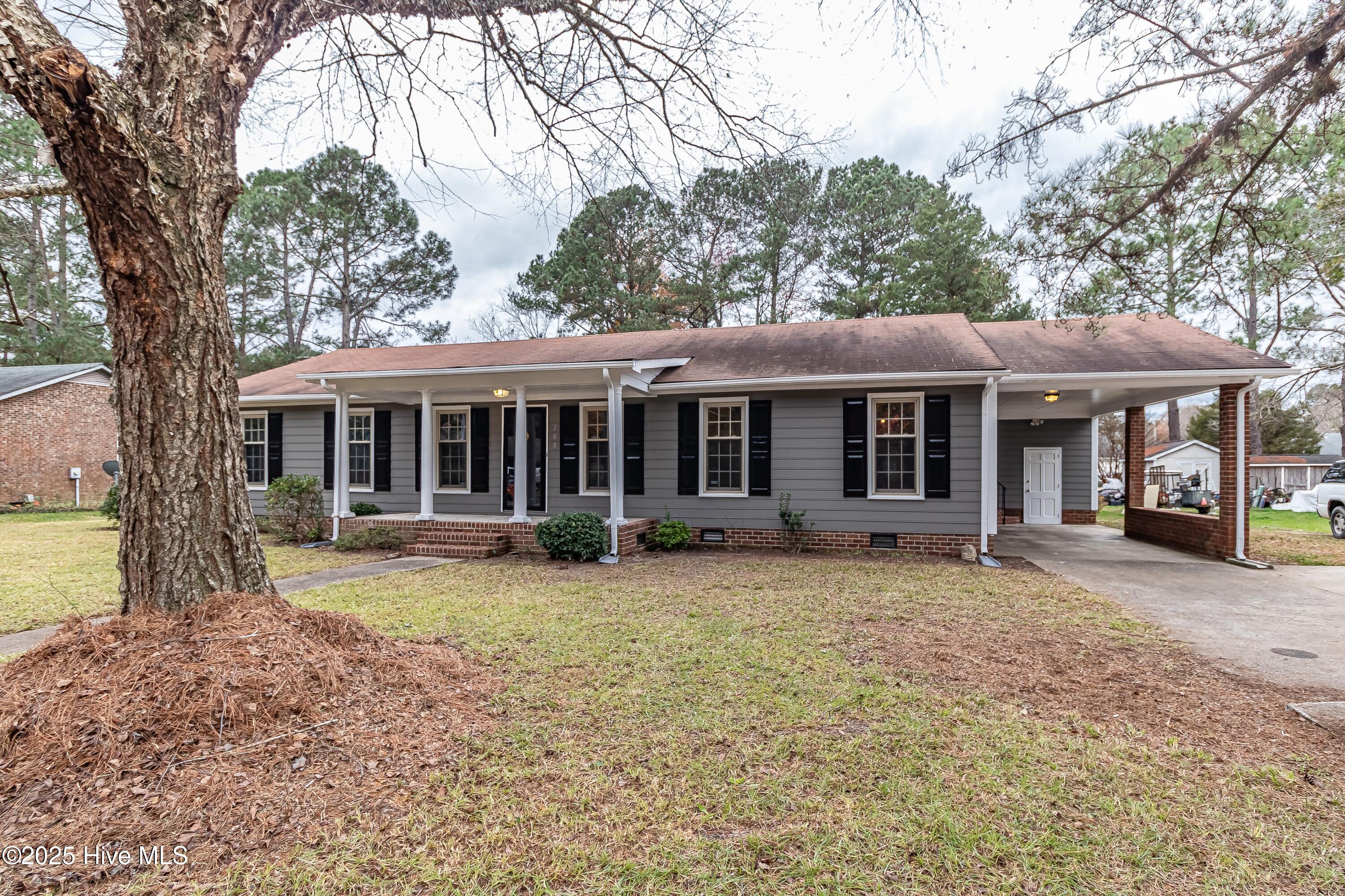 203 Avalon Lane