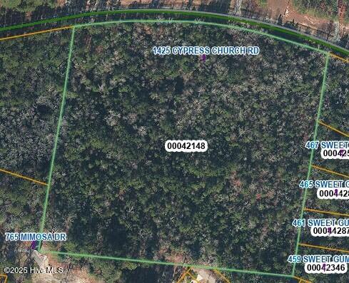 1425 Cypresss Church Road Property Photo 1