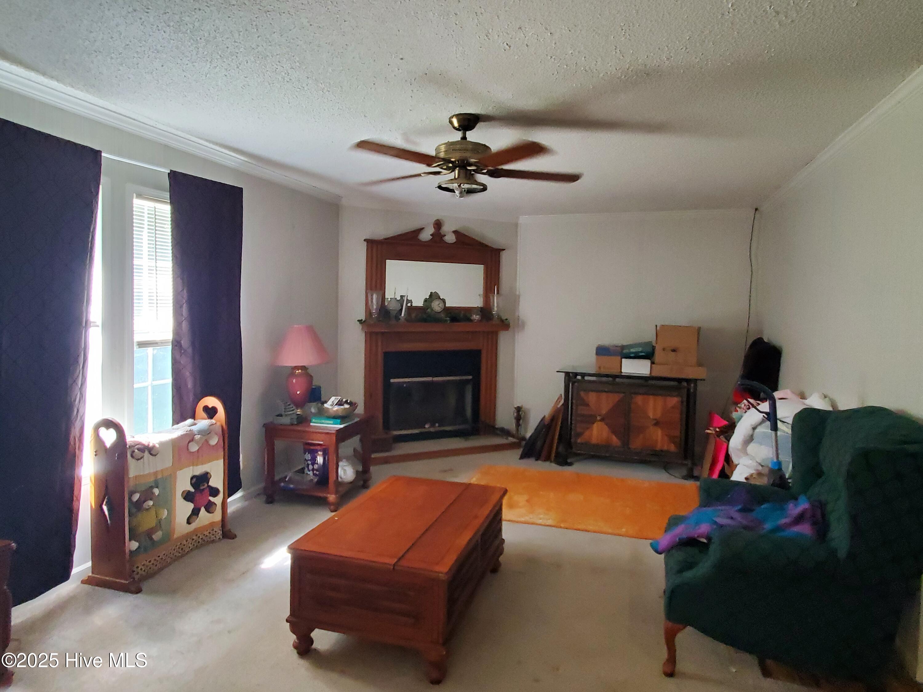 438 Stell Road Property Photo 12
