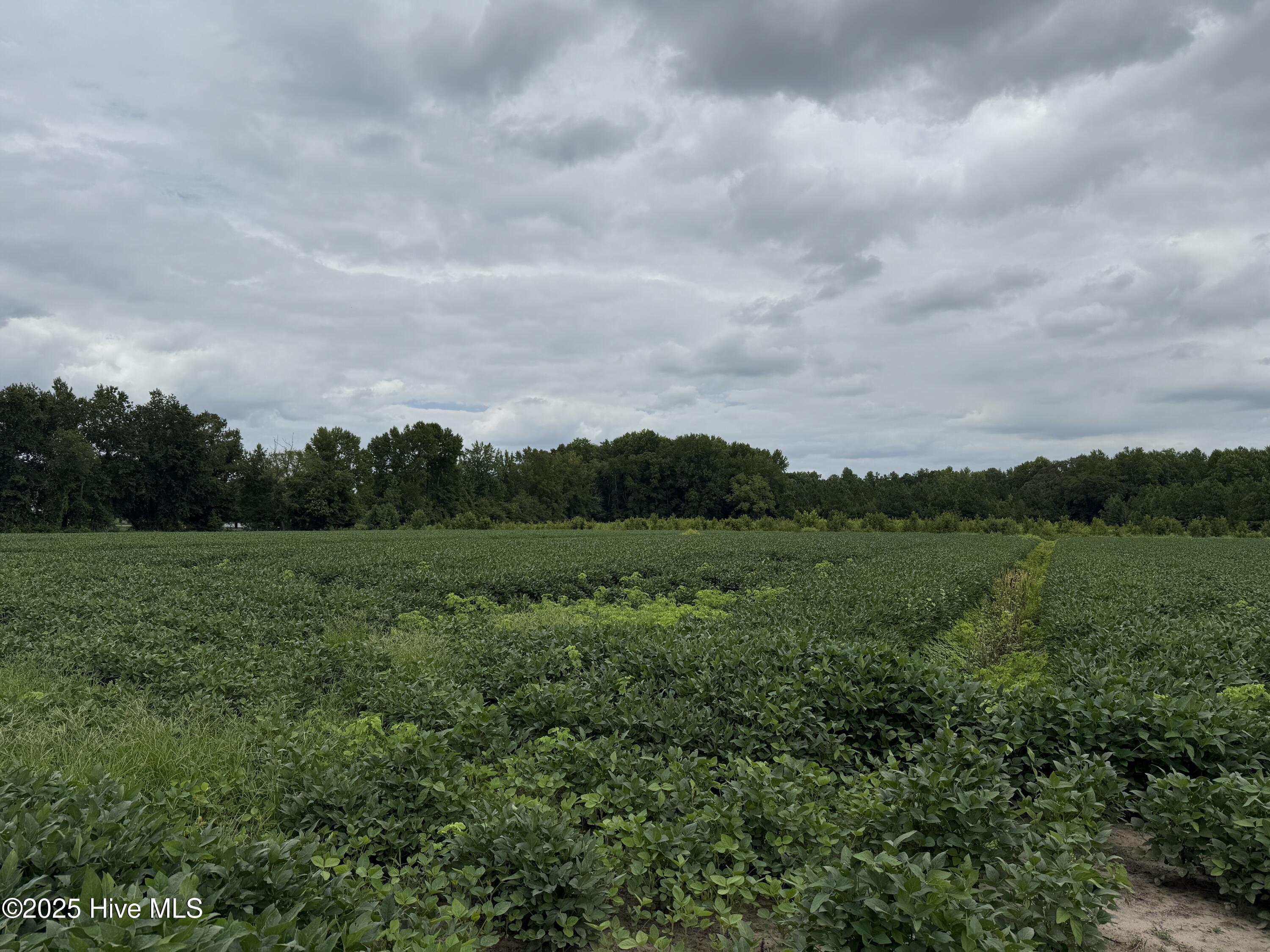 0 Sr 1932 Off Property Photo 8