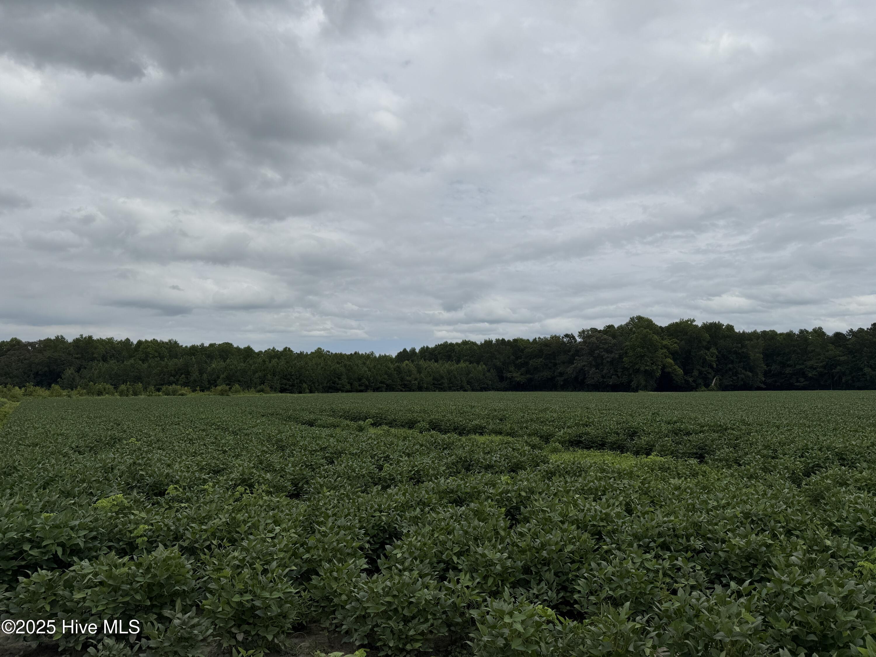 0 Sr 1932 Off Property Photo 10