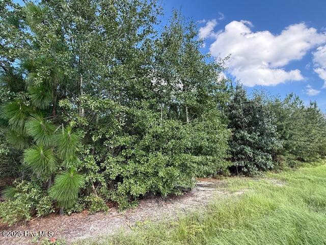 Tbd Johns Road Property Photo 1