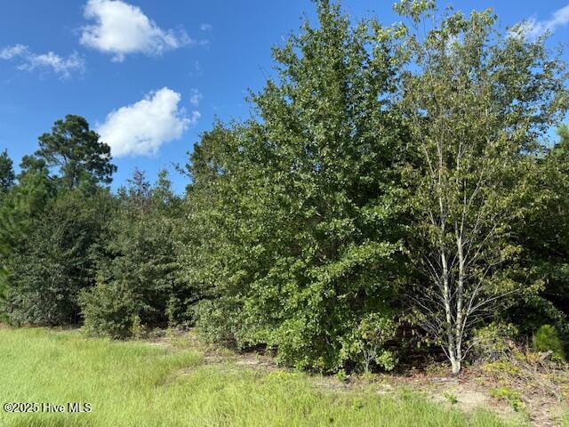 Tbd Johns Road Property Photo 2