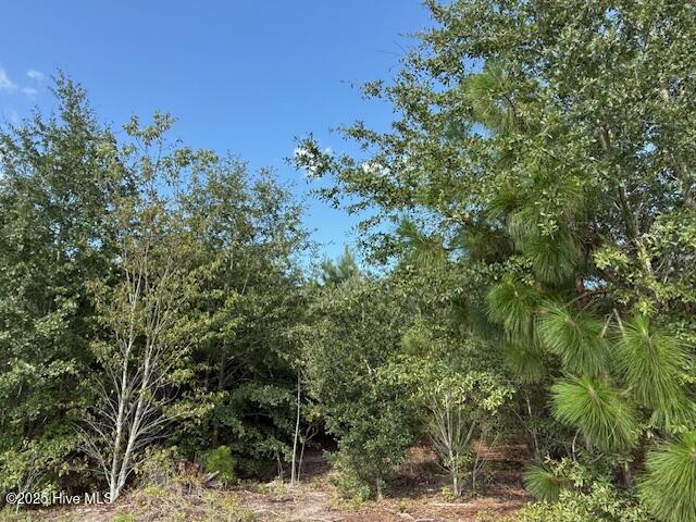 Tbd Johns Road Property Photo 3