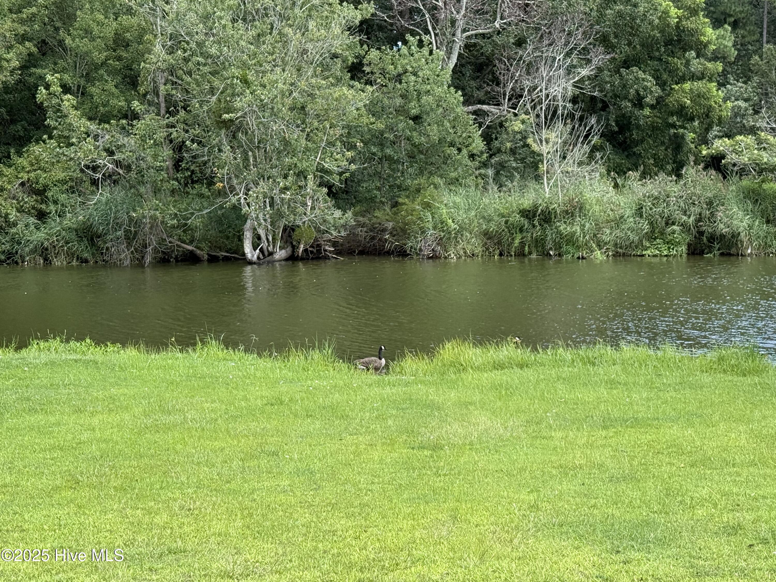 176 Sunset Circle Property Photo 6