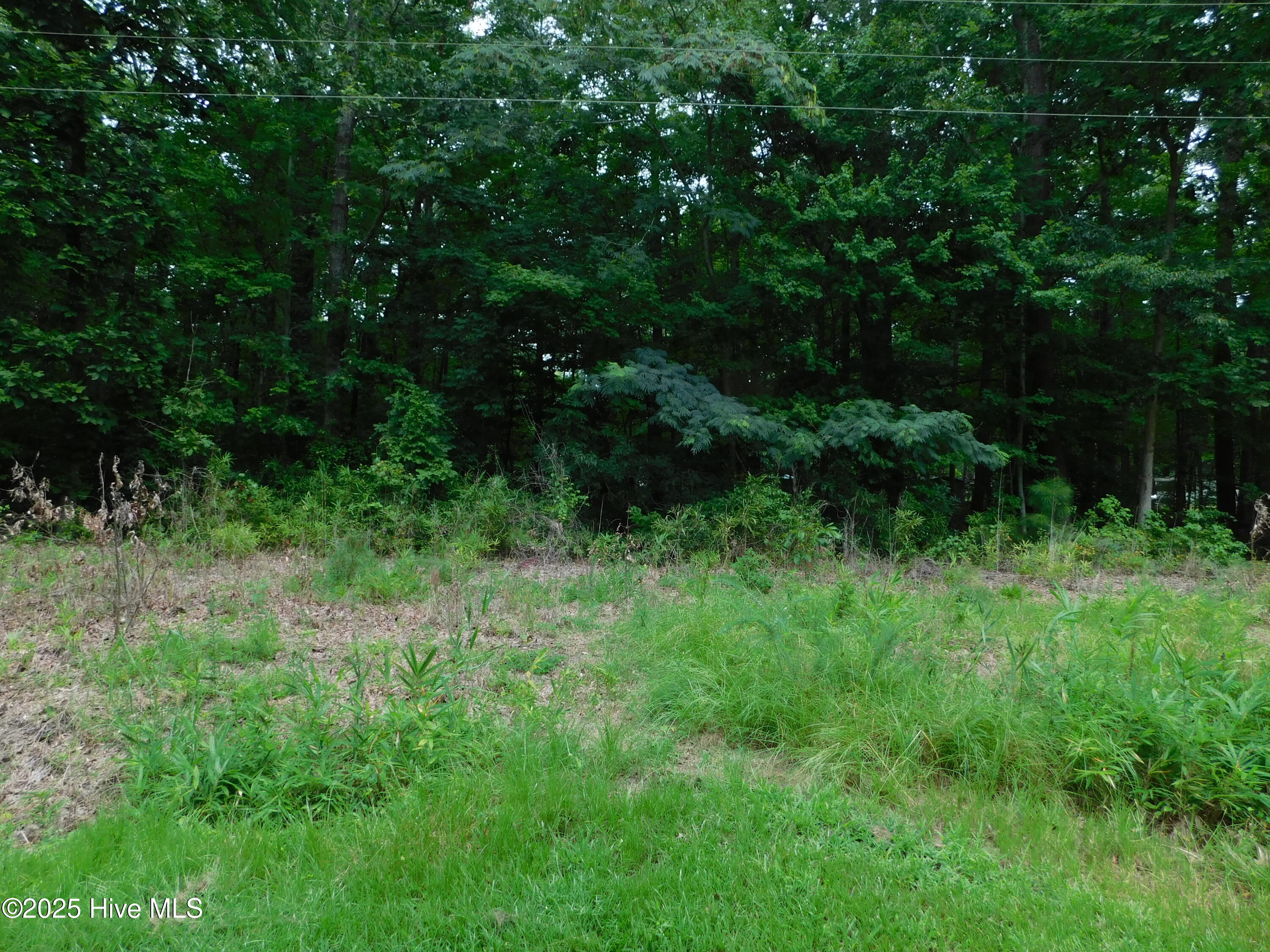 93 93 Tranquility Lane Property Photo 1