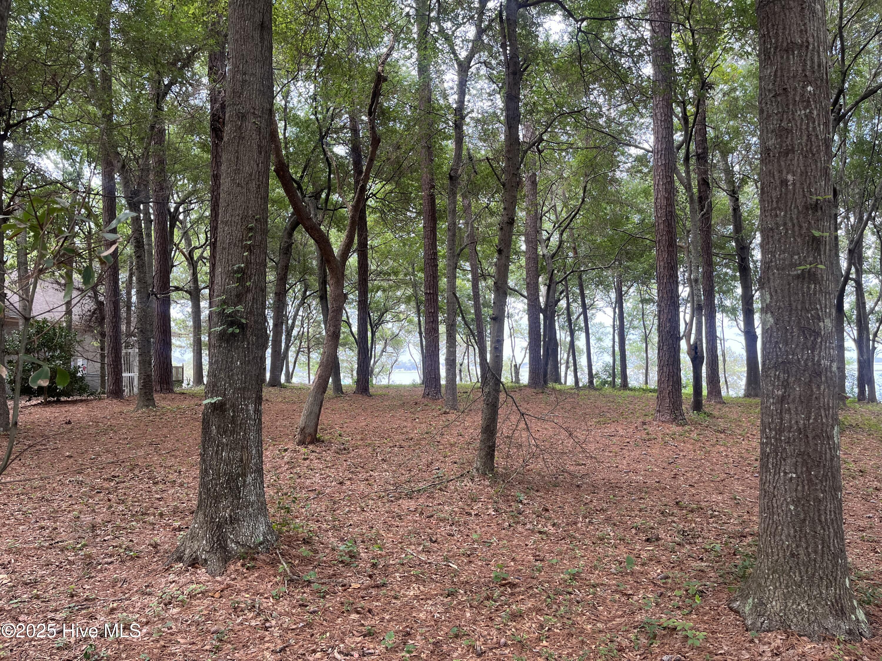 3260 Mullet Creek Place Property Photo 9