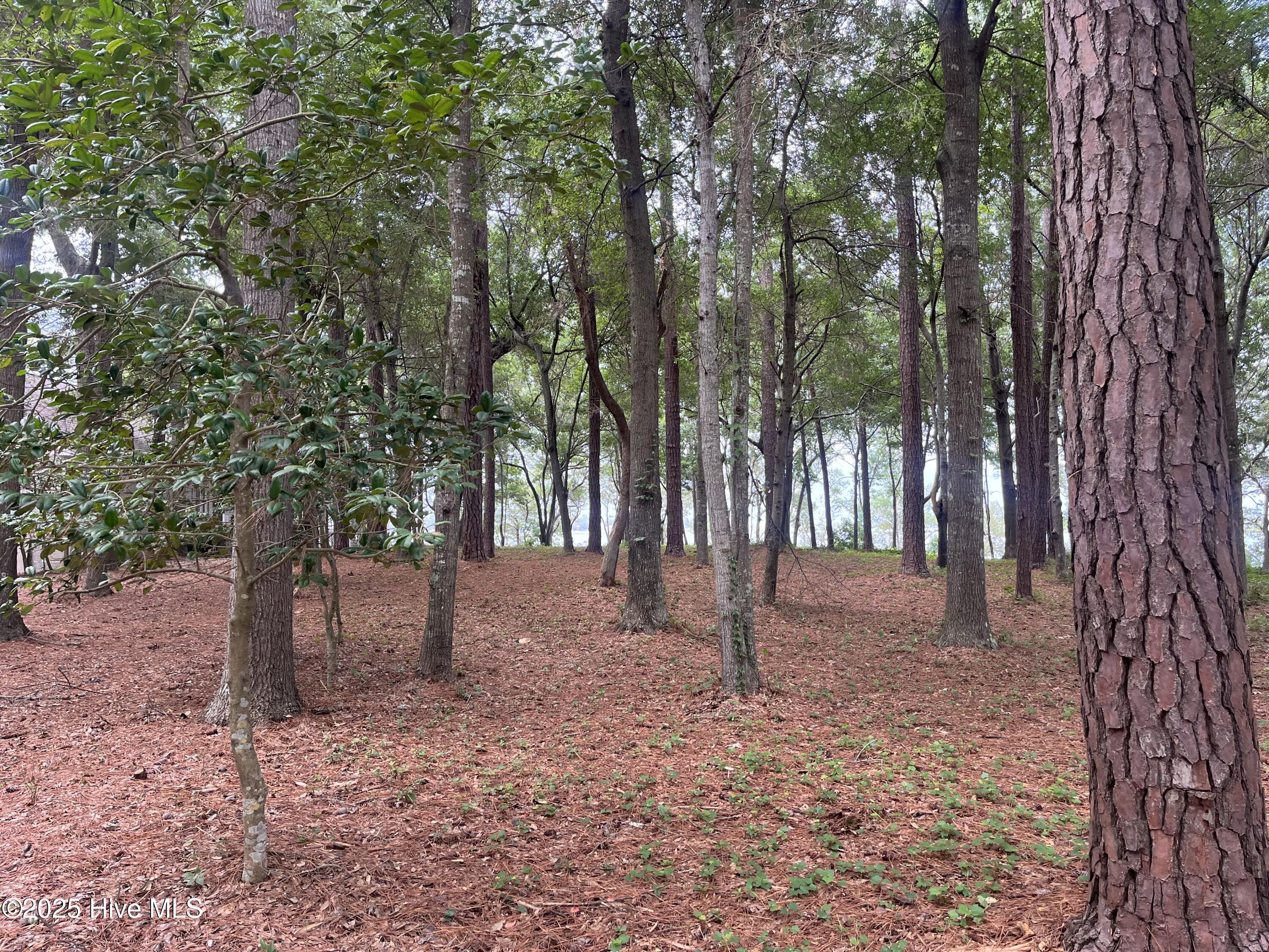 3260 Mullet Creek Place Property Photo 11