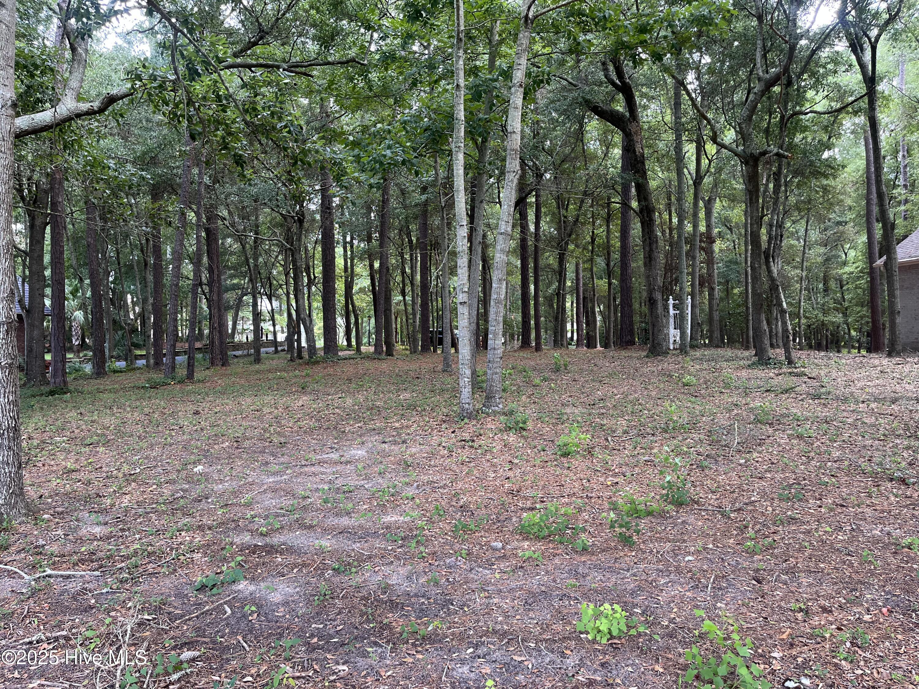 3260 Mullet Creek Place Property Photo 12