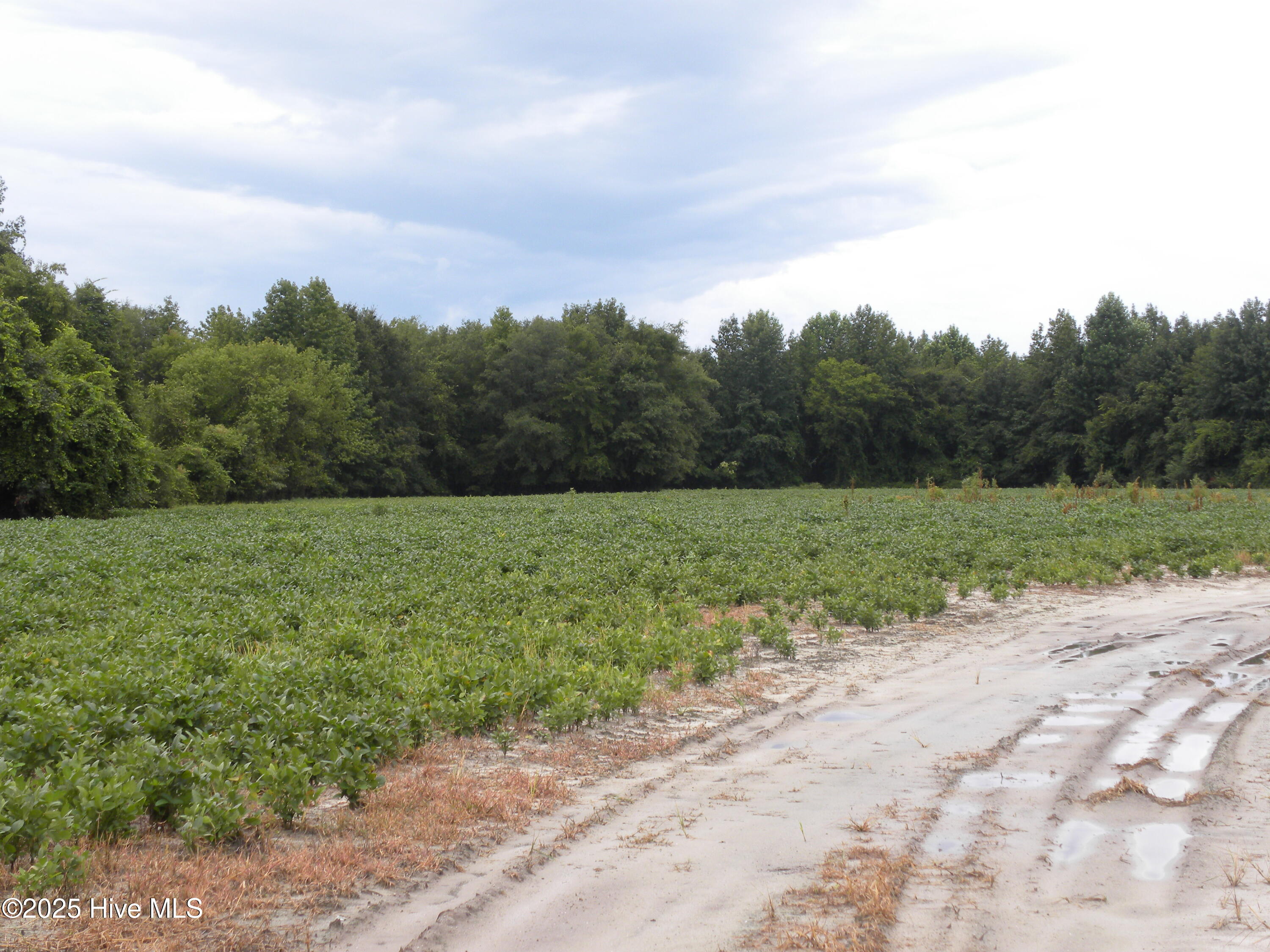 Tbd Conetoe Road Property Photo 1