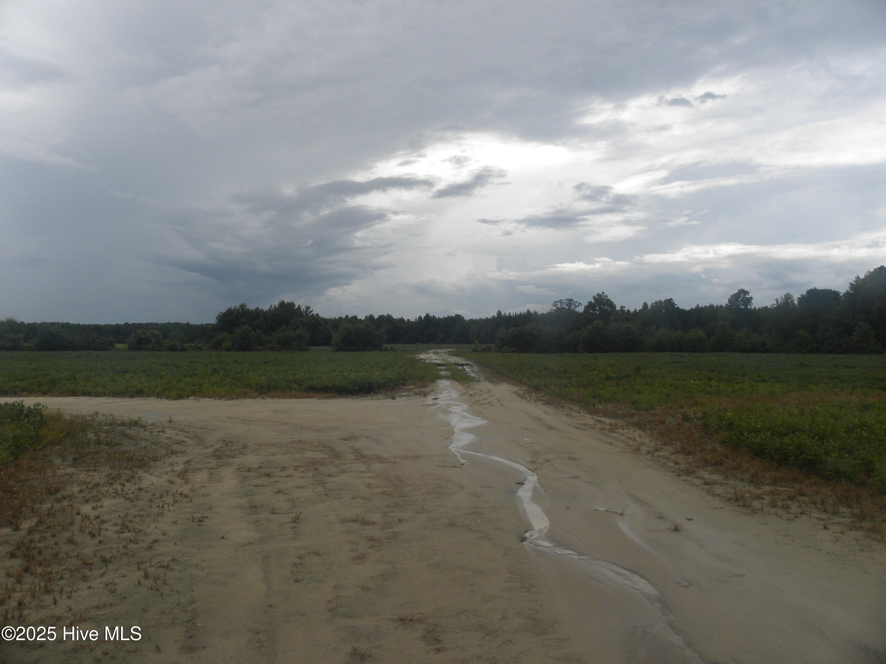 Tbd Conetoe Road Property Photo 2