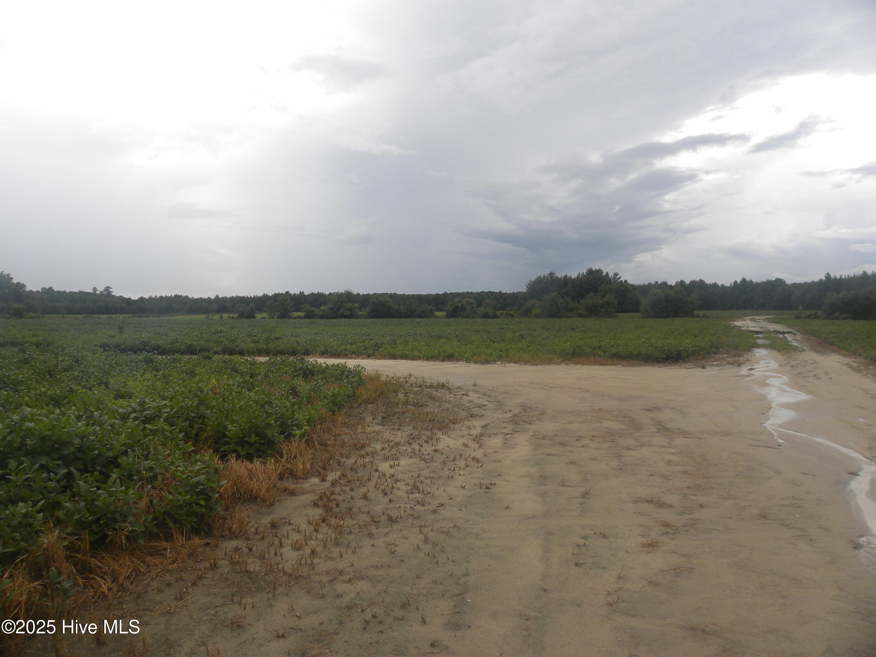 Tbd Conetoe Road Property Photo 3