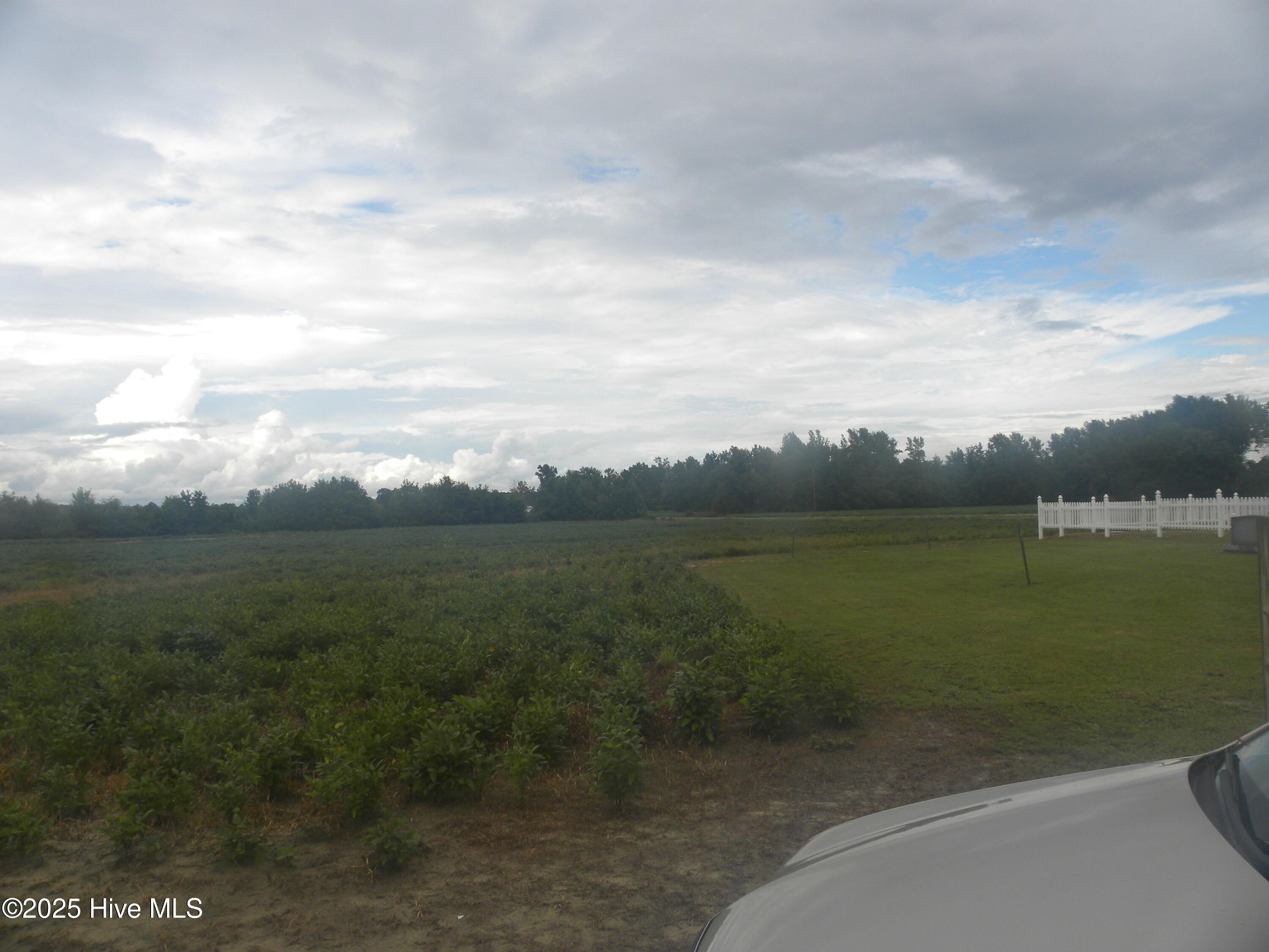 Tbd Conetoe Road Property Photo 4