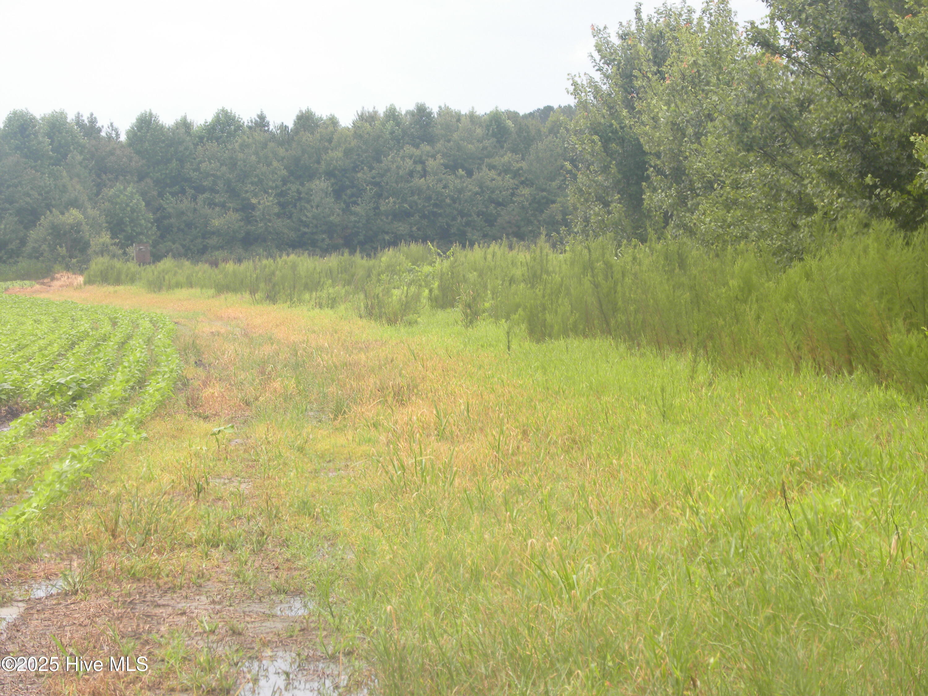 Tbd Conetoe Road Property Photo 7