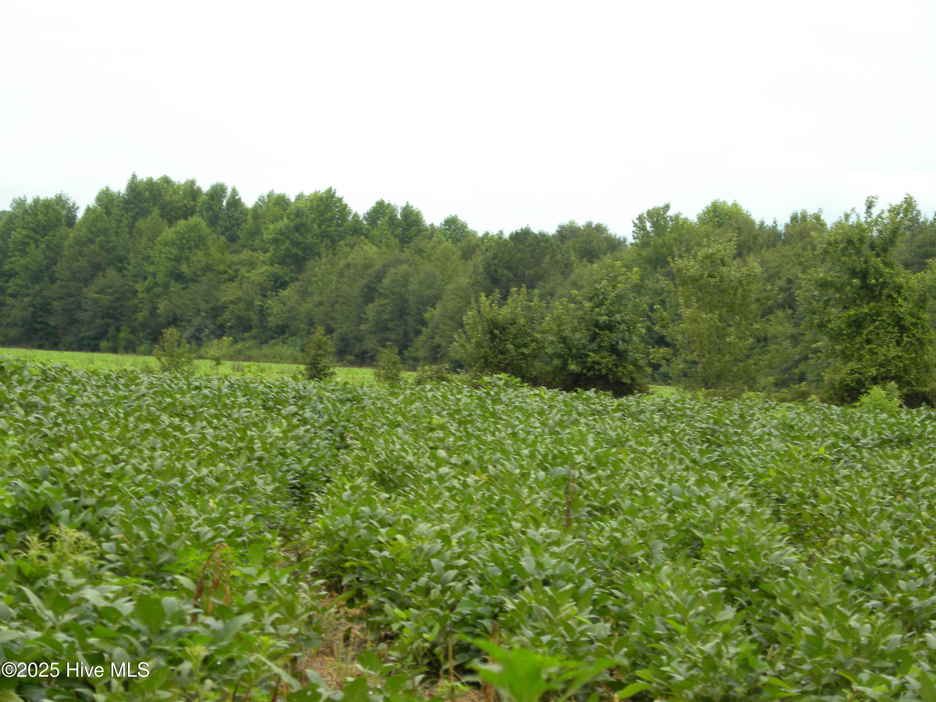 Tbd Conetoe Road Property Photo 8