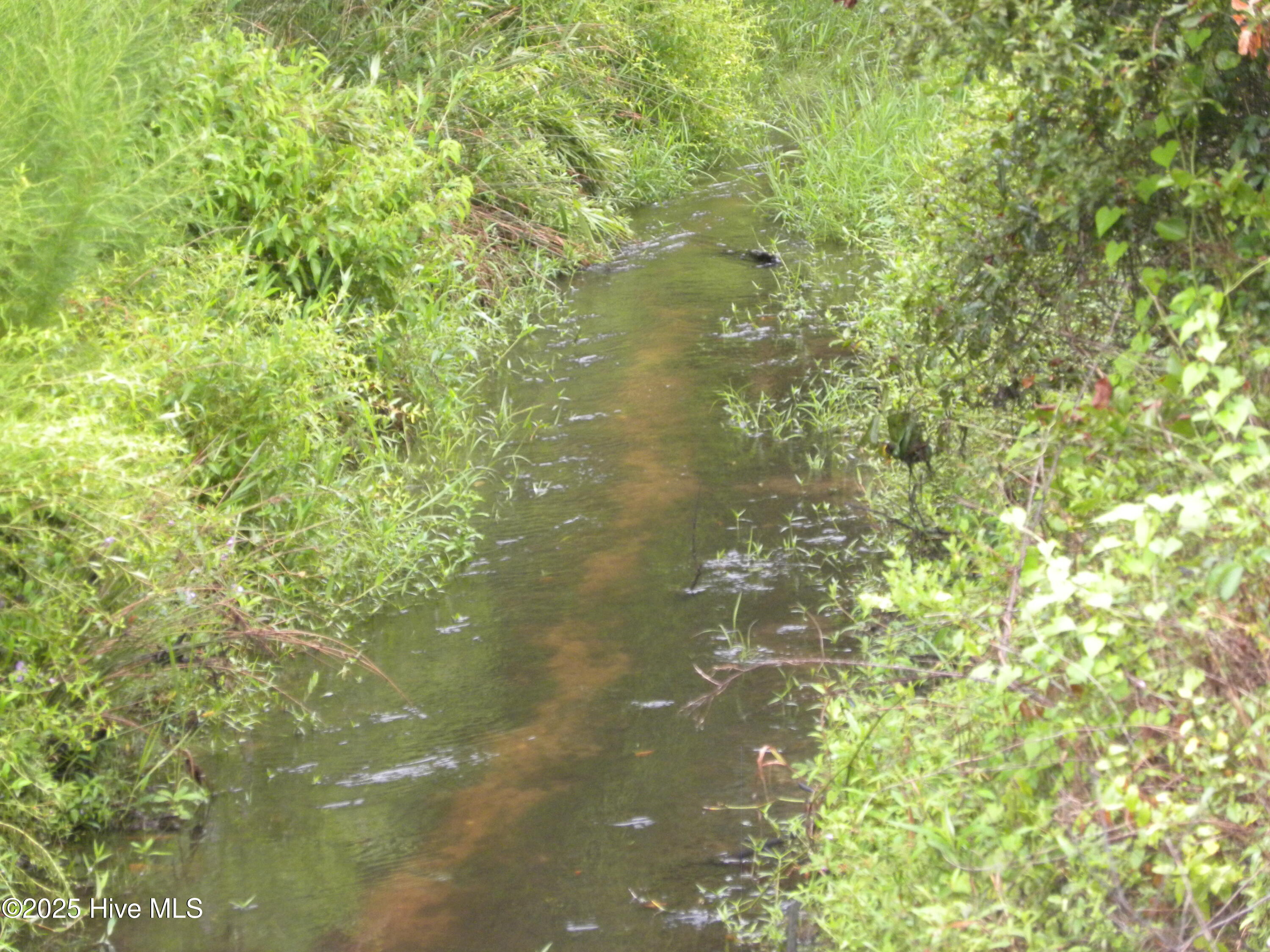 Tbd Conetoe Road Property Photo 9