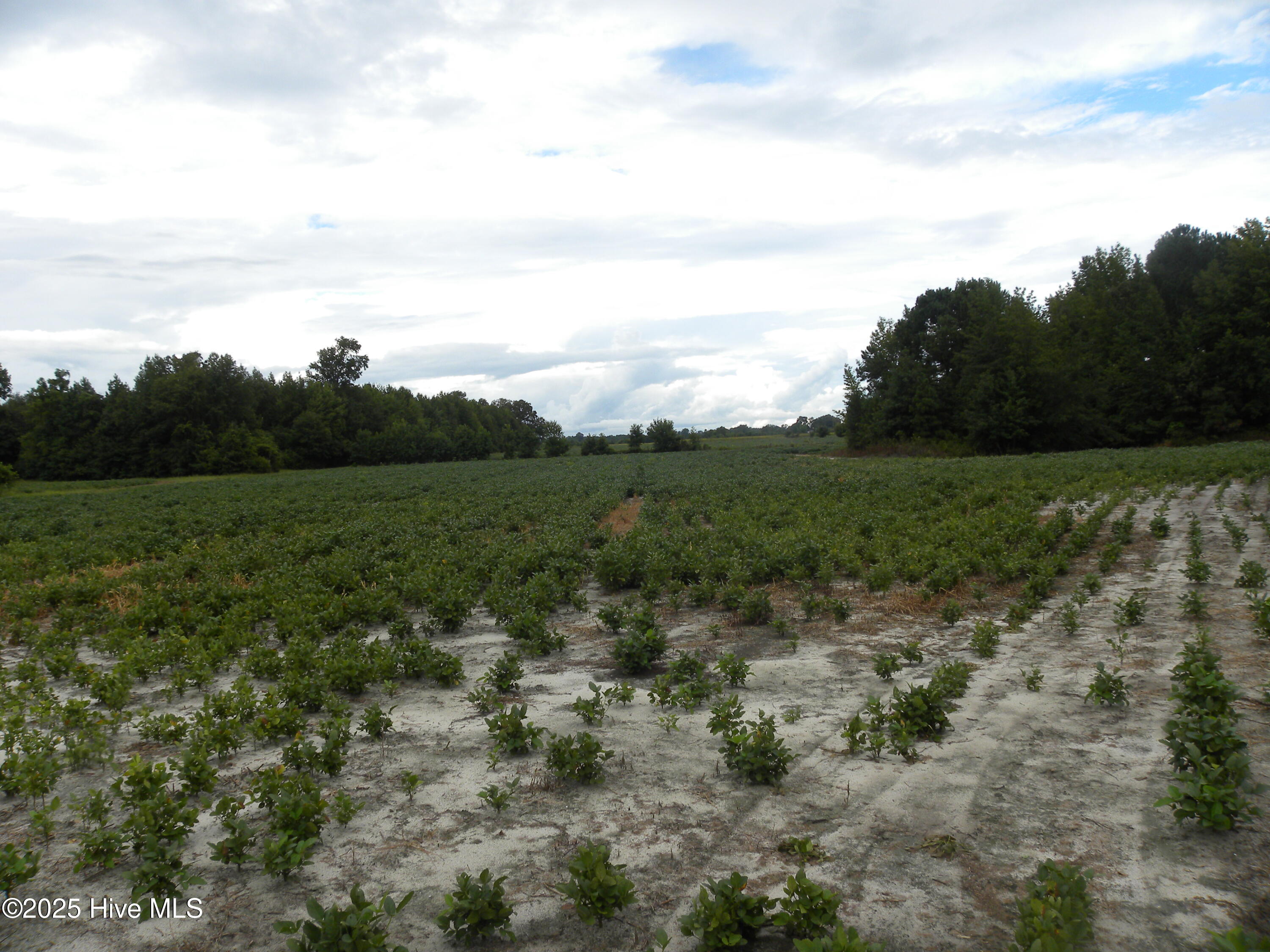 Tbd Conetoe Road Property Photo 10