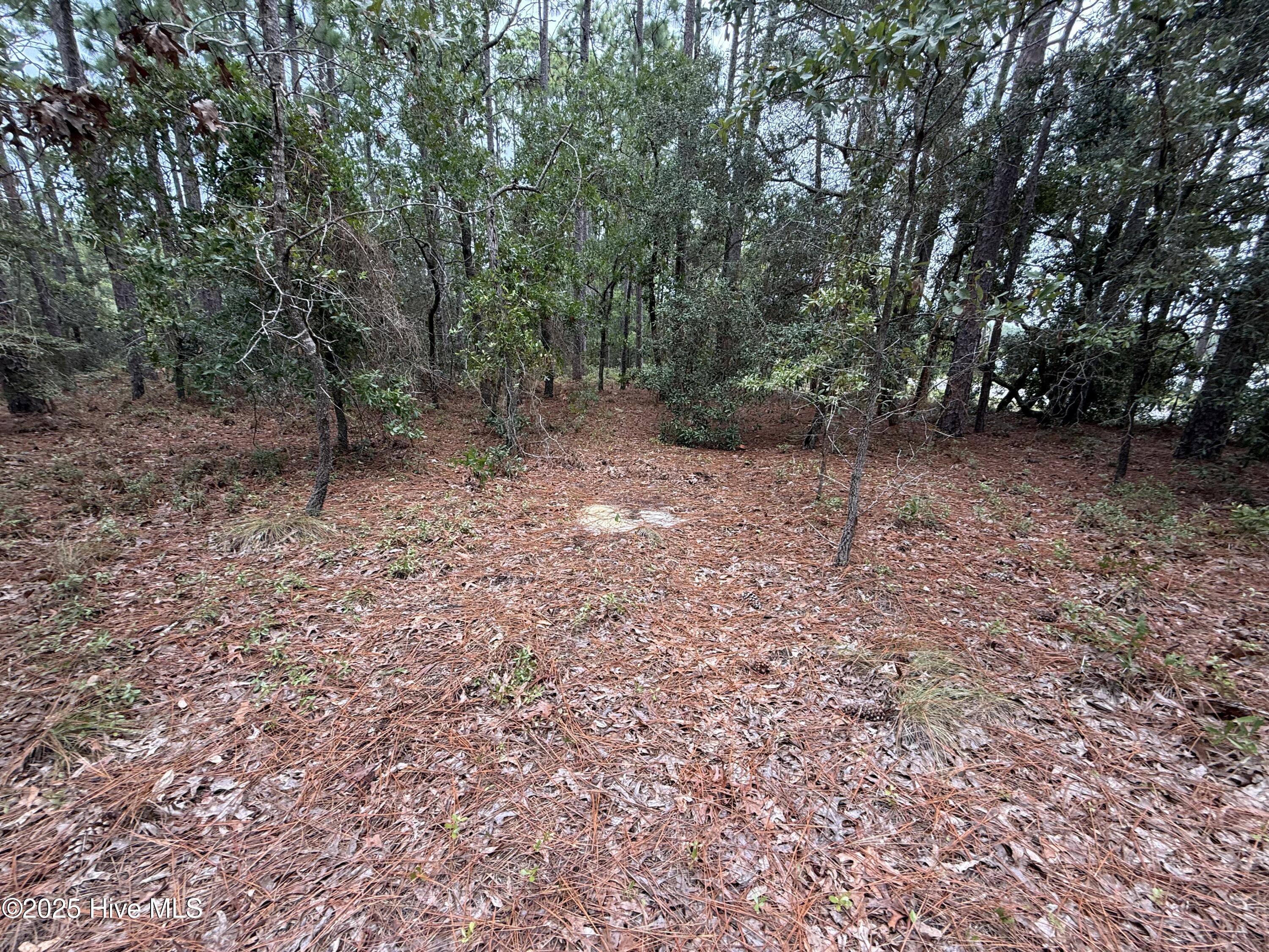 2695 E Boiling Spring Road Property Photo 7
