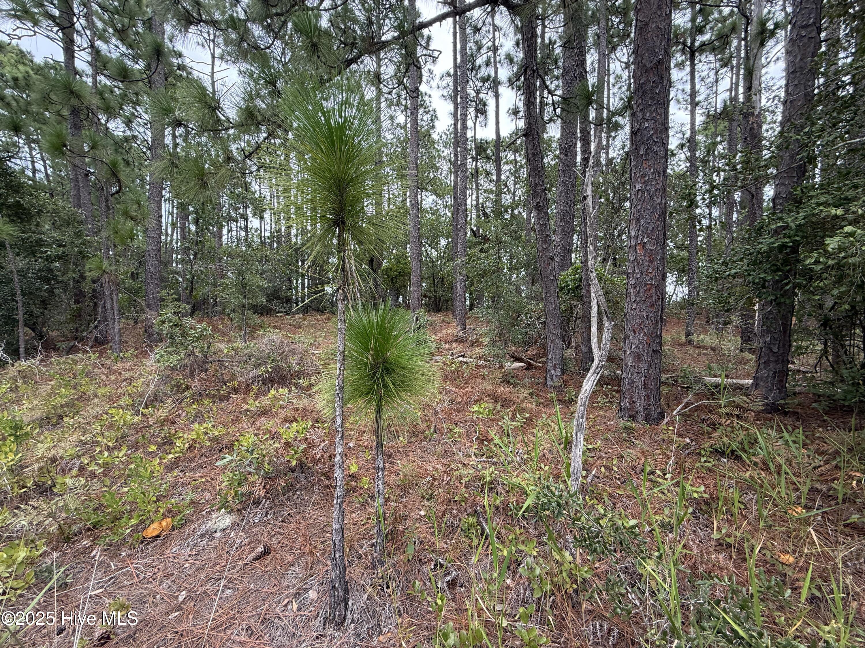 2695 E Boiling Spring Road Property Photo 8