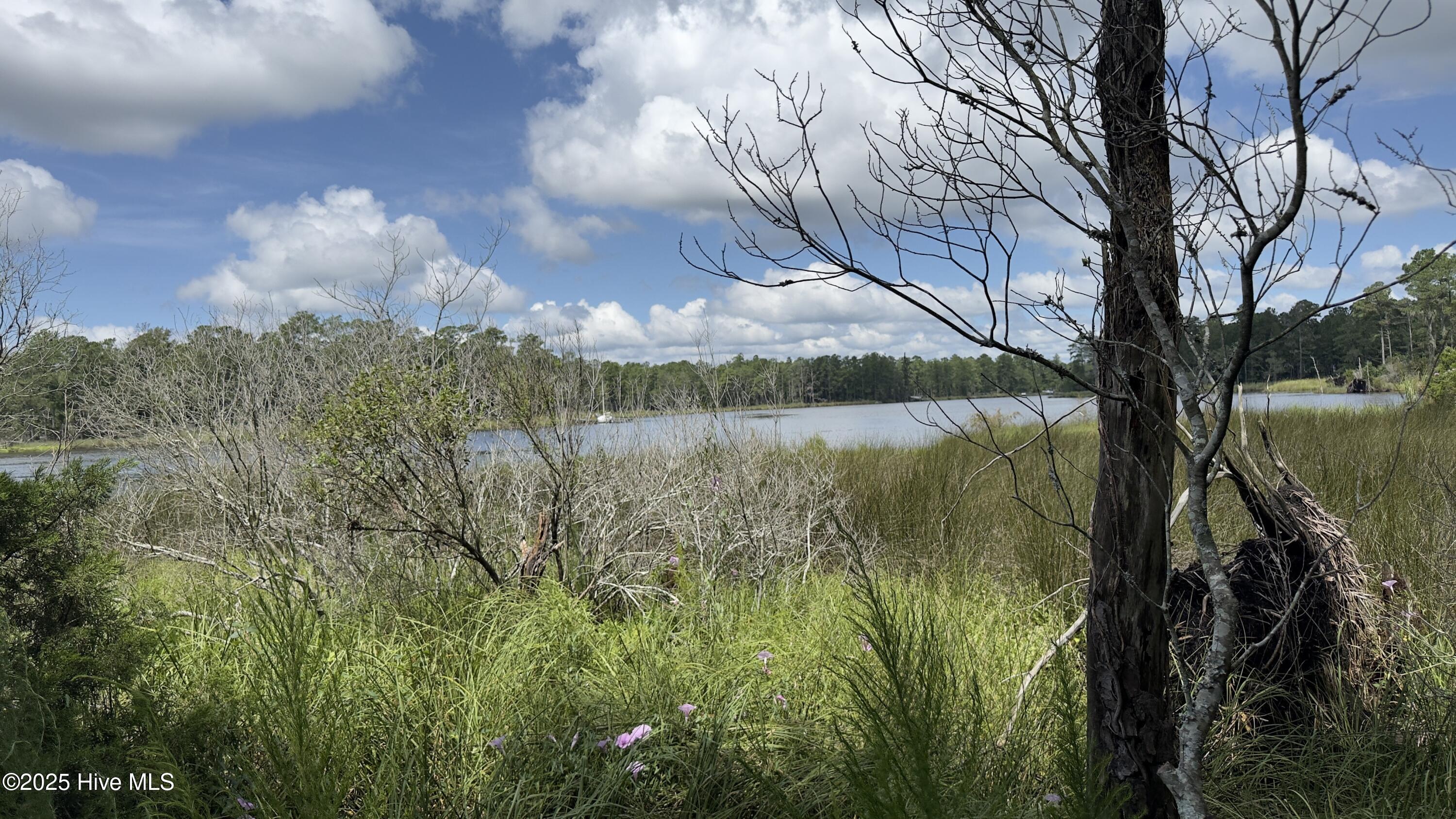 Lot 73 Bailey Pointe Property Photo 1