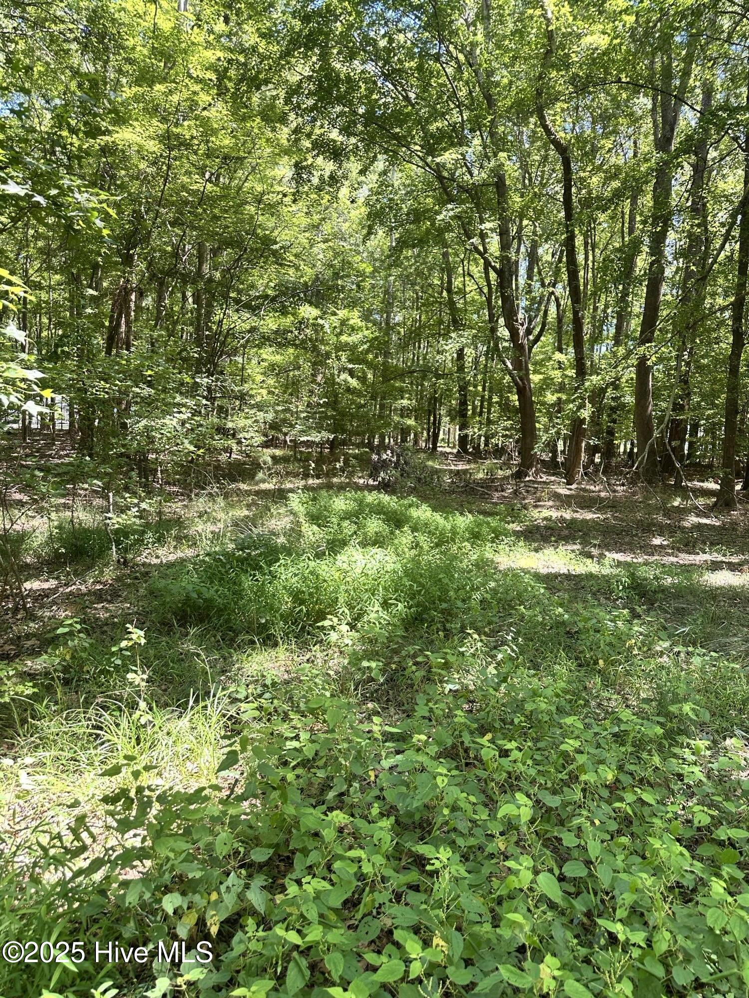 #4 Waterview Street Property Photo 2