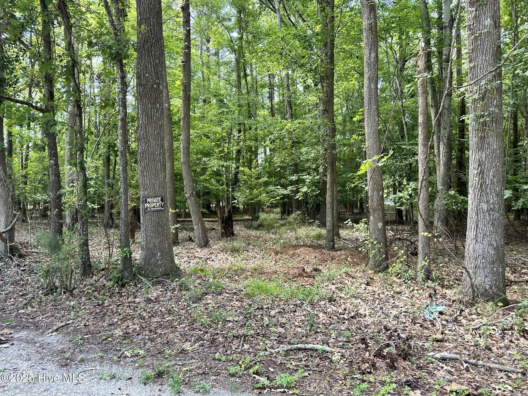 #4 Waterview Street Property Photo 3