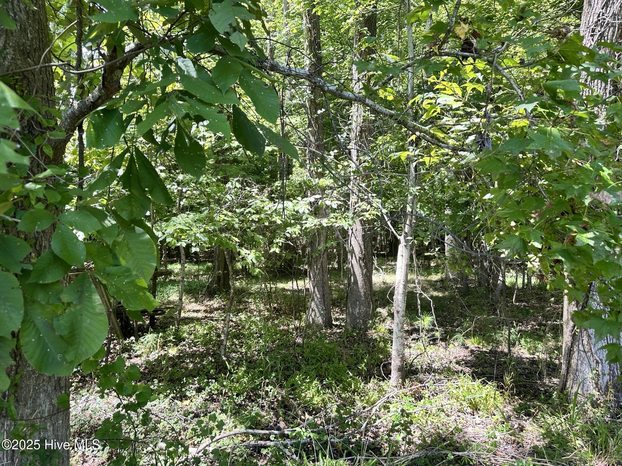 #4 Waterview Street Property Photo 4