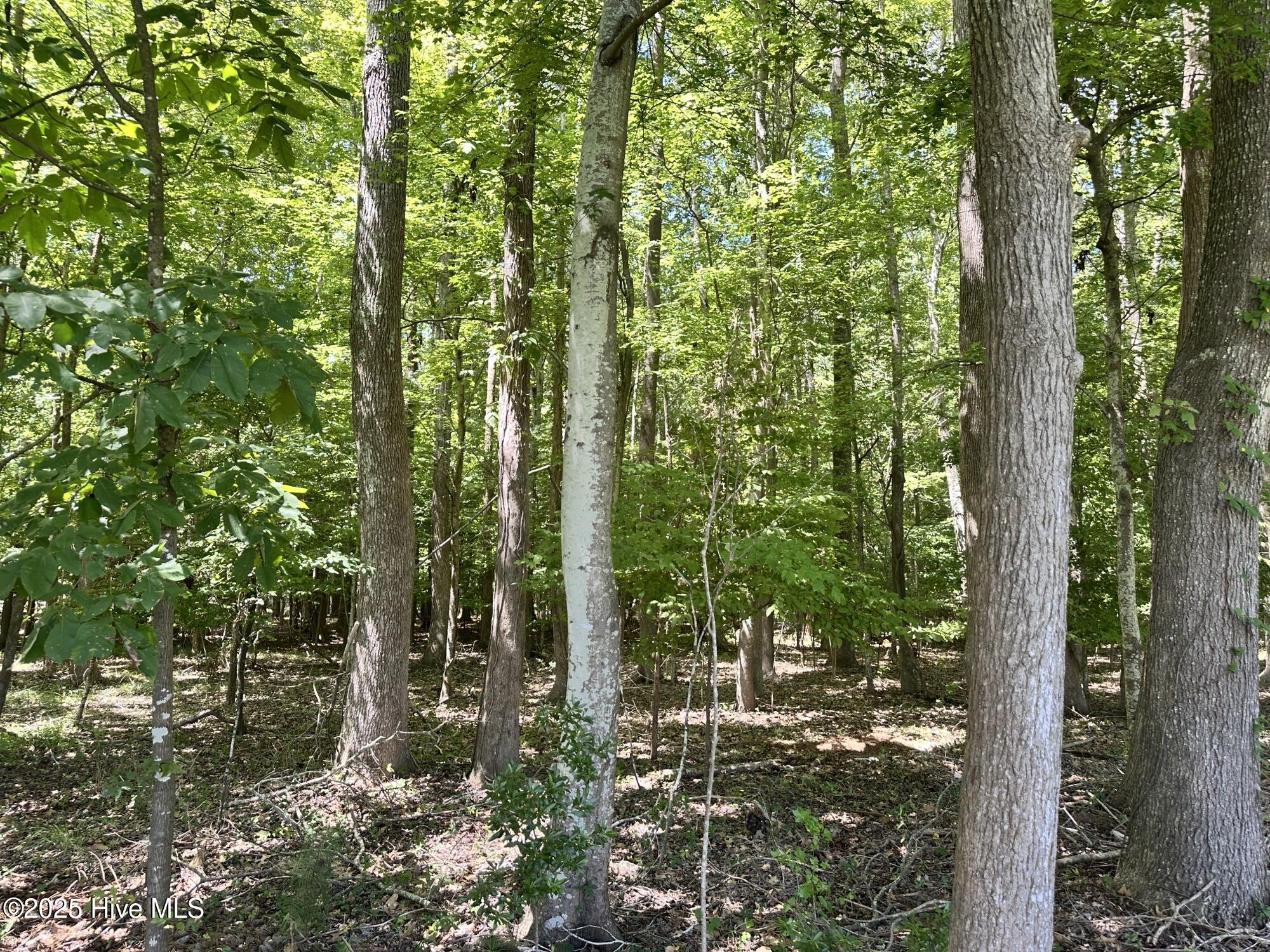 #4 Waterview Street Property Photo 5