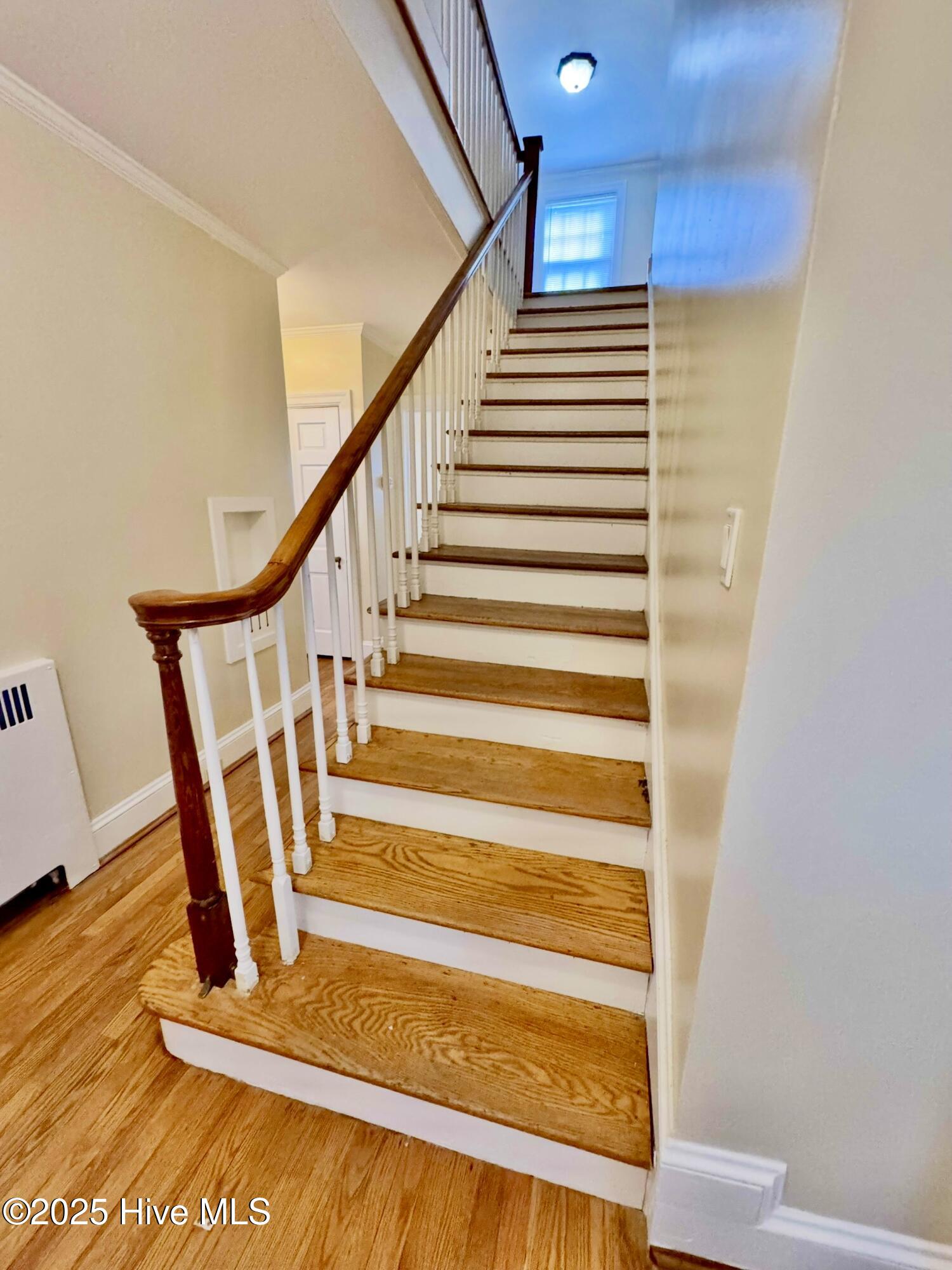 306 Wilson Avenue Property Photo 56