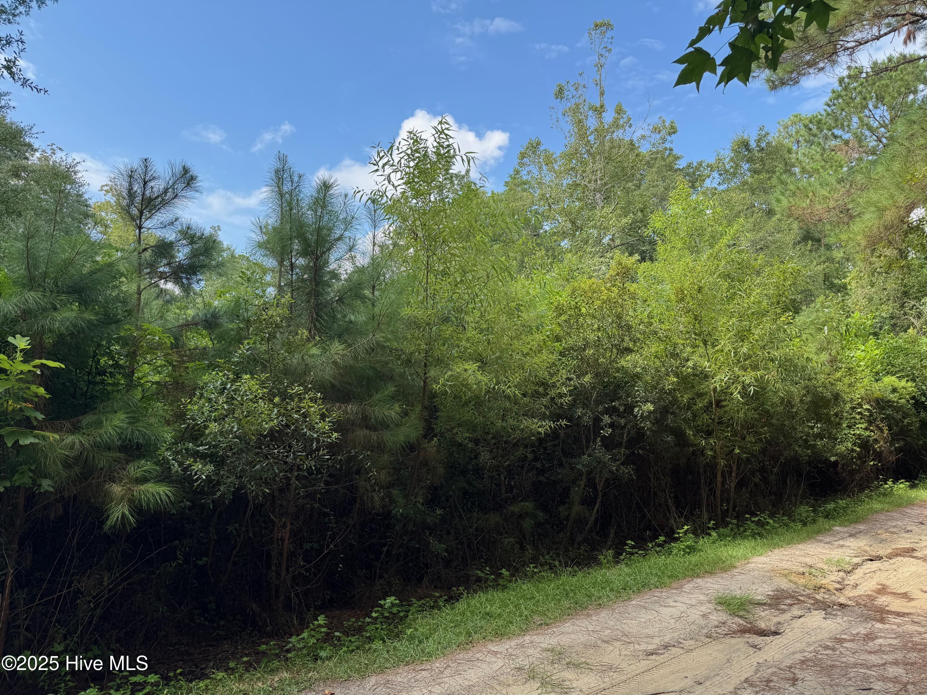 4477 Tavia Lane Property Photo 2